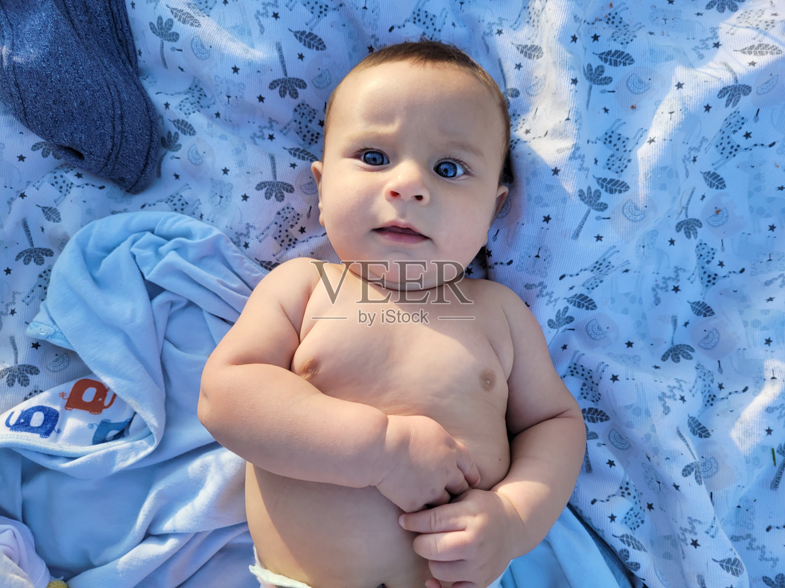 小男孩在户外照片摄影图片