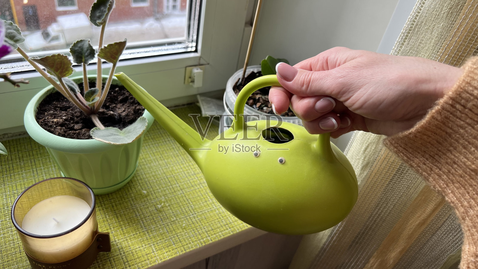 手正在给家里的花浇水照片摄影图片