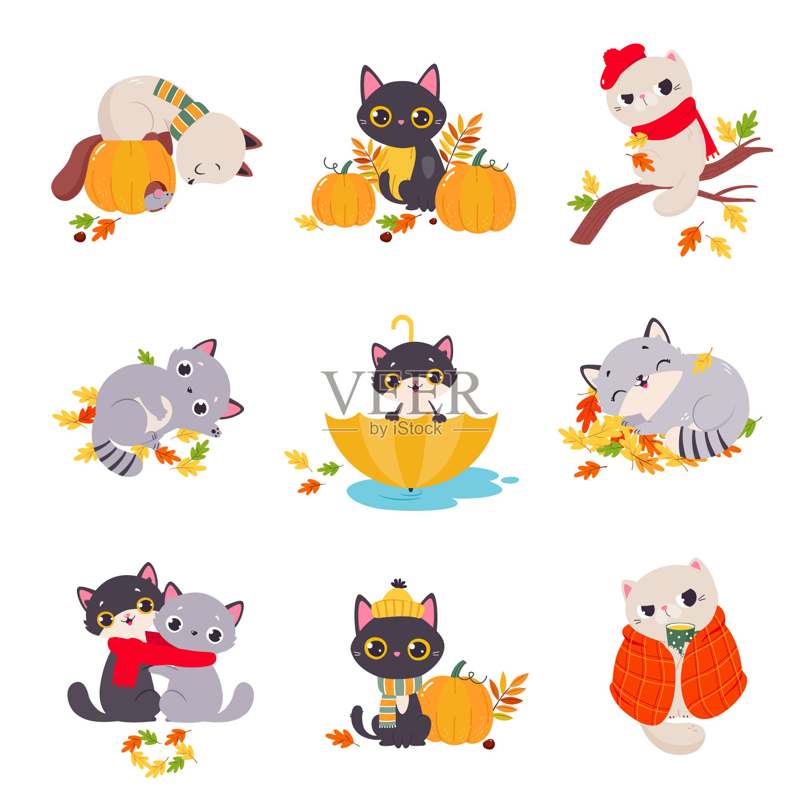 可爱的小猫在围巾在秋天的季节与明亮插画图片素材