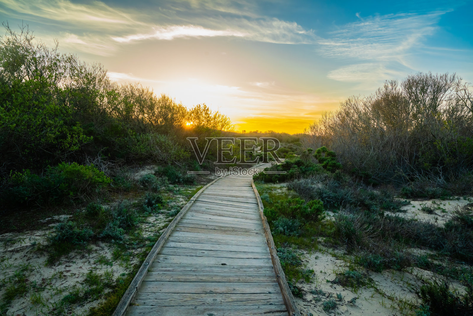 空旷的木板路通向遥远的沙丘和树林。日落时的森林徒步旅行。加州Oceano照片摄影图片