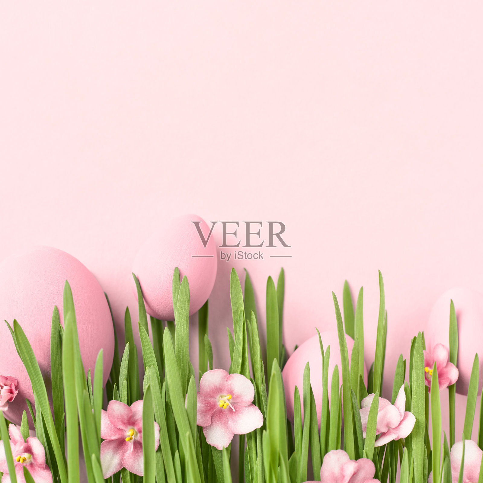 复活节背景与复活节彩蛋在草地上与粉红色的花。照片摄影图片