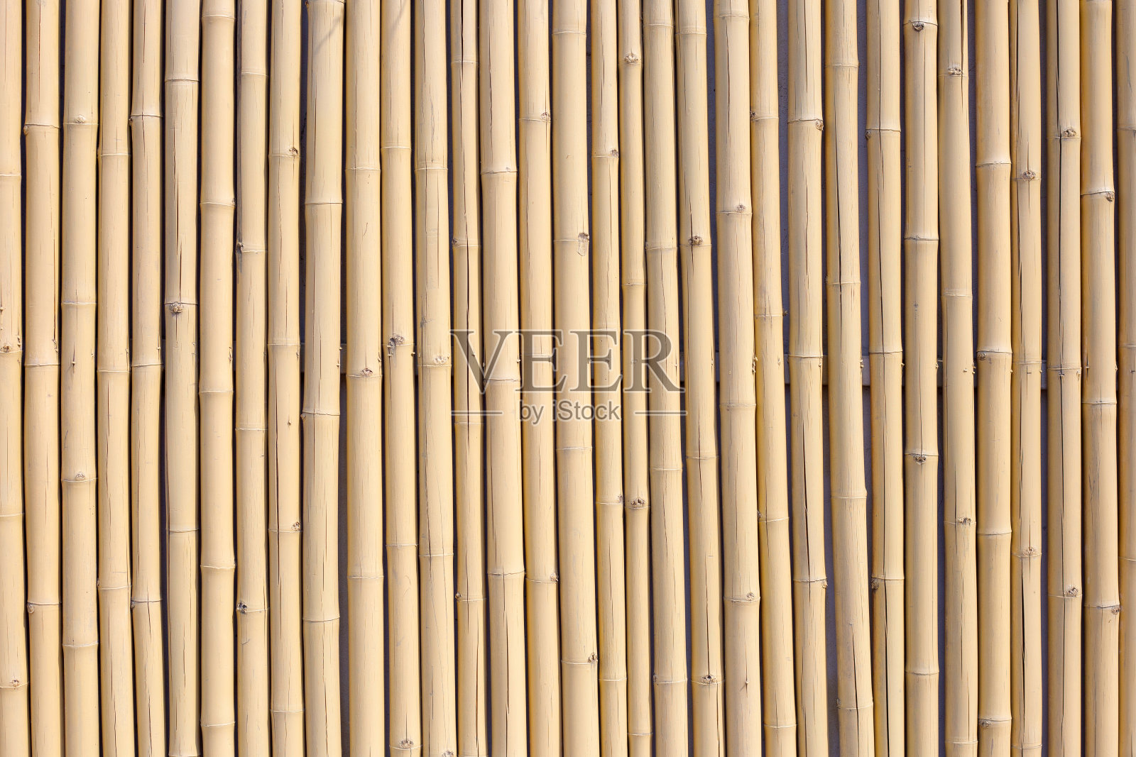 黄竹质地。干竹墙或栅栏背景照片摄影图片