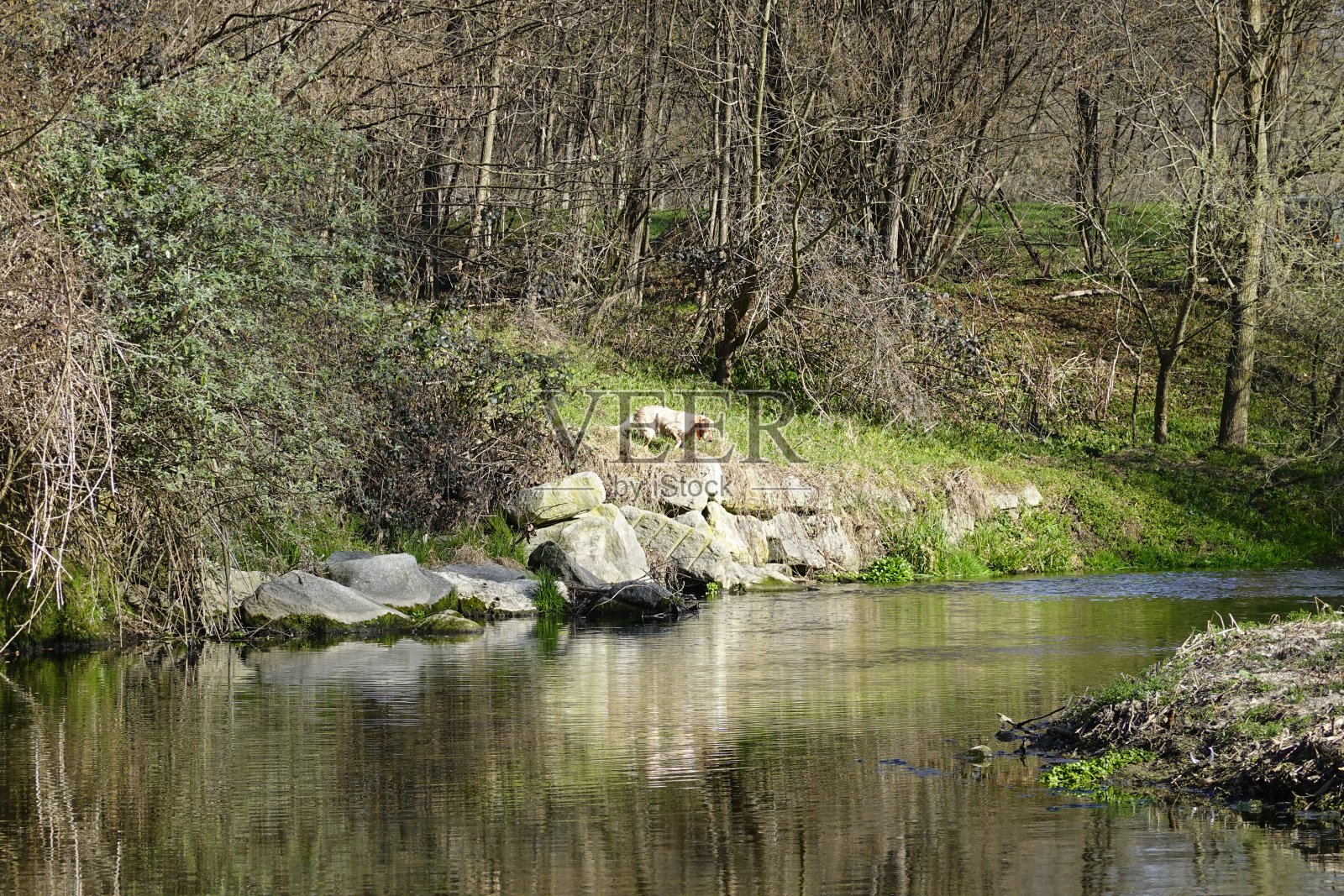 这个老谷照片摄影图片