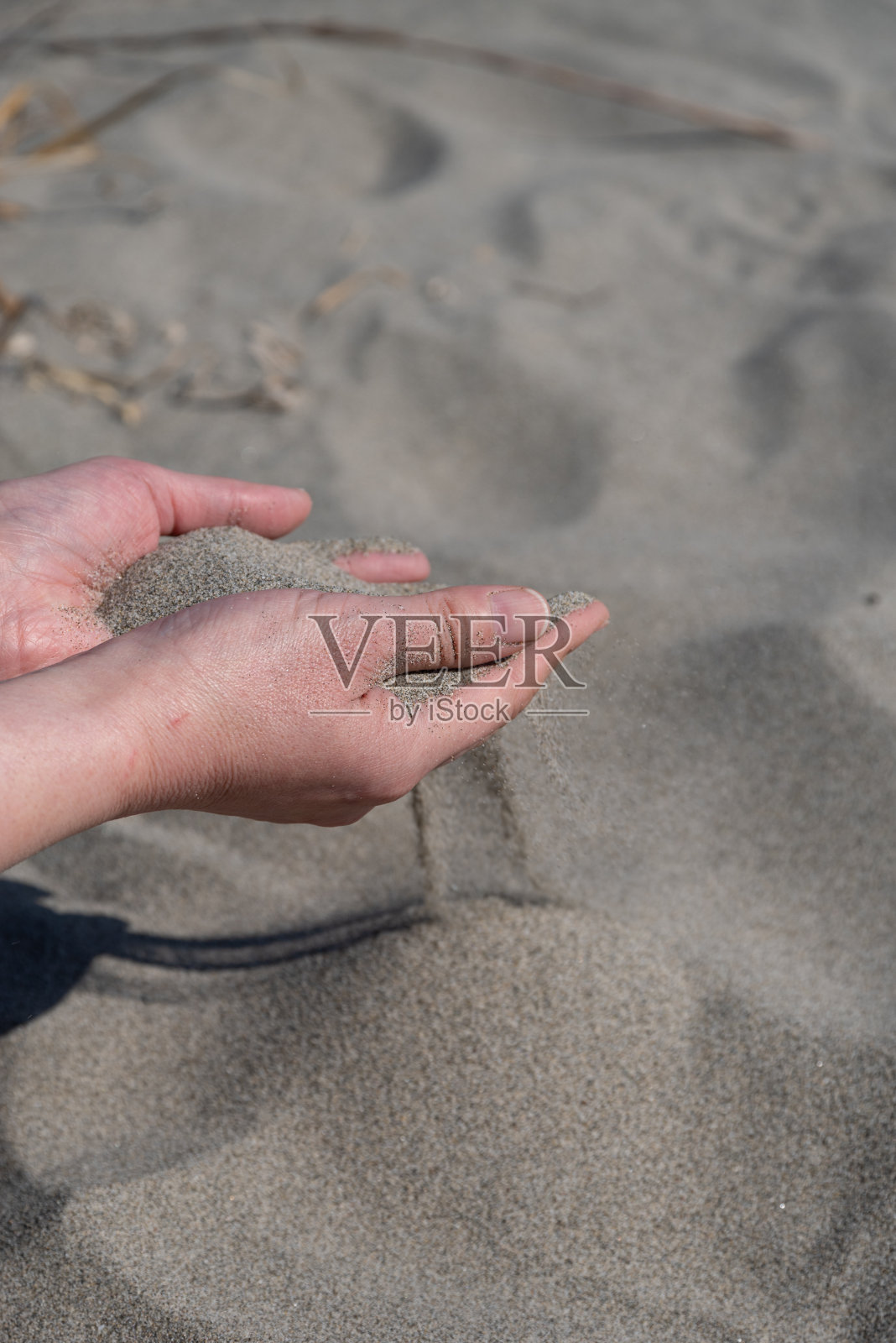 在沙滩上玩耍照片摄影图片