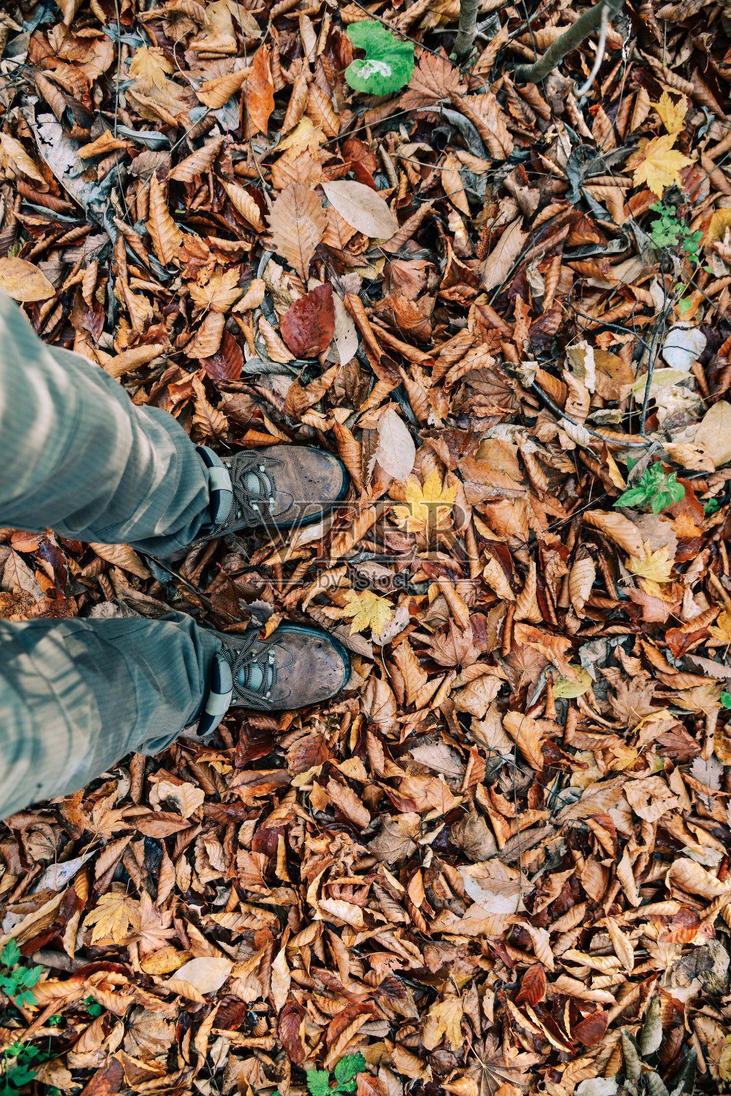 徒步鞋站在秋叶上照片摄影图片