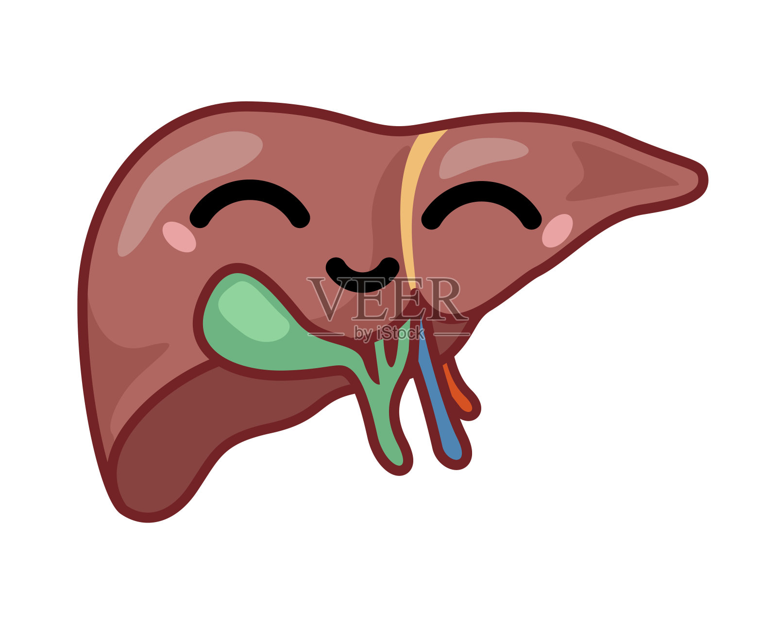 人类微笑肝脏图标。矢量符号插画图片素材