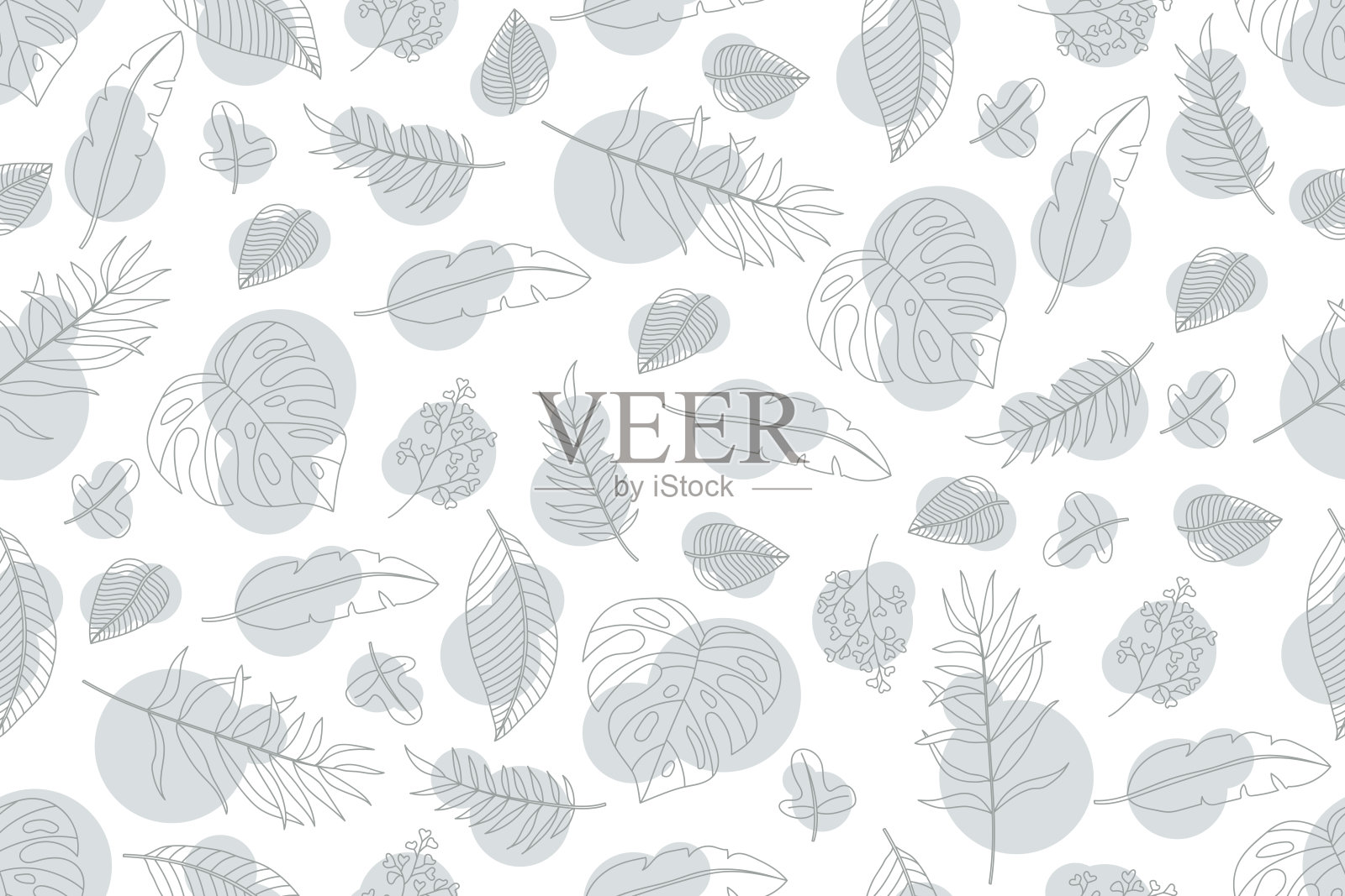 插图灰色线的叶子与圆形背景。插画图片素材