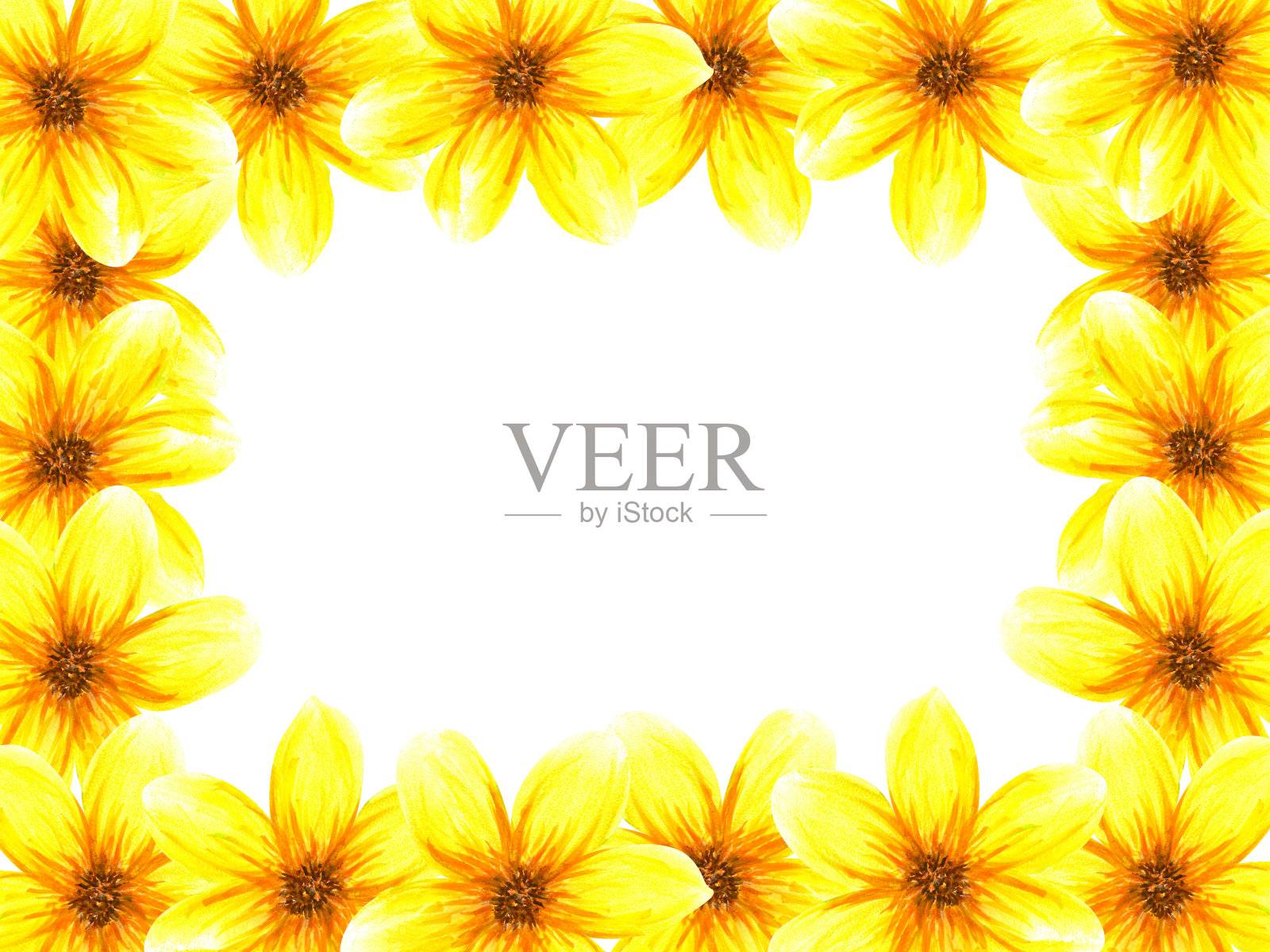 用花作框架。水彩画抽象明亮的夏天黄色的花和叶子。白色背景上孤立的物体插画图片素材