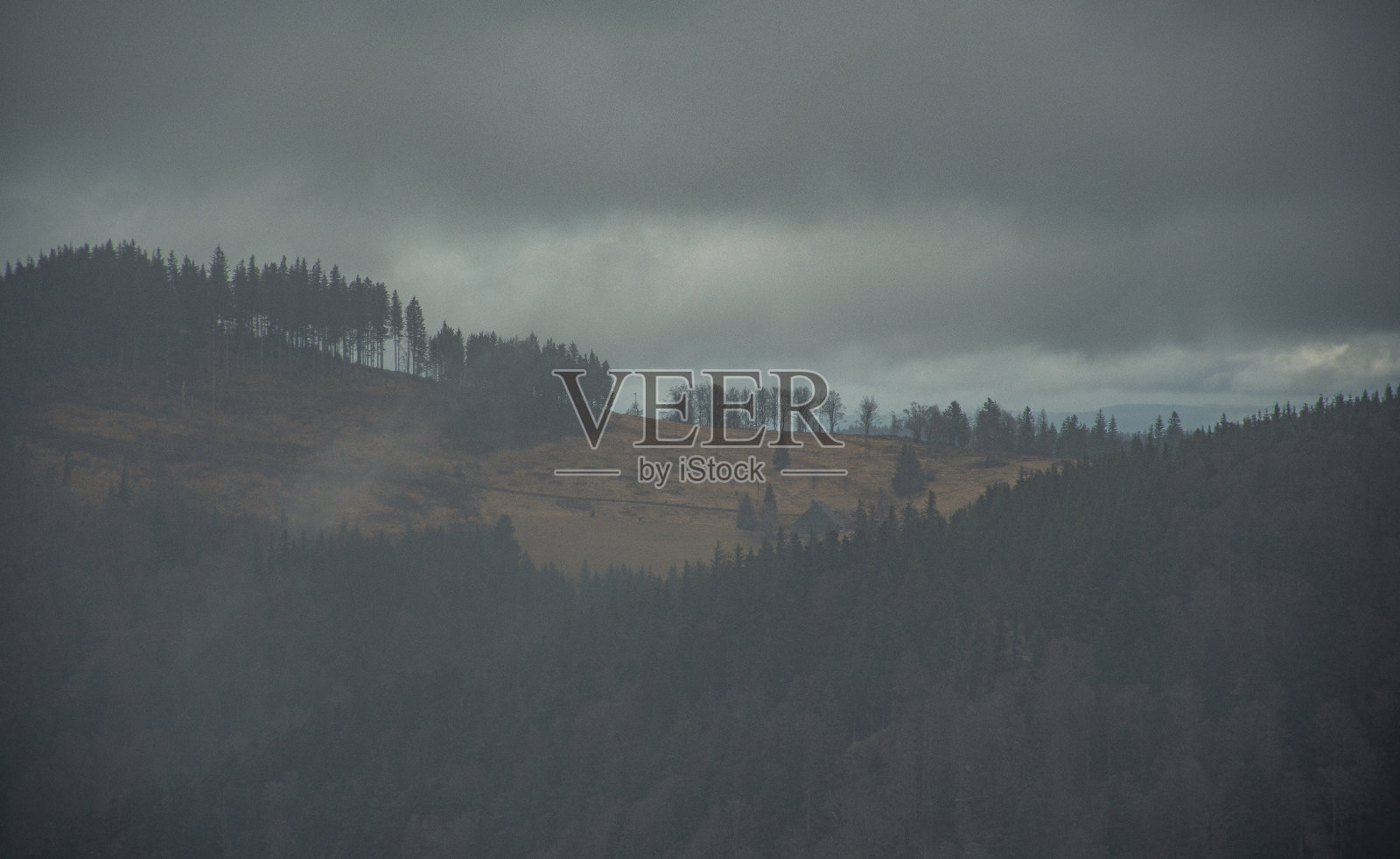 黑森林照片摄影图片