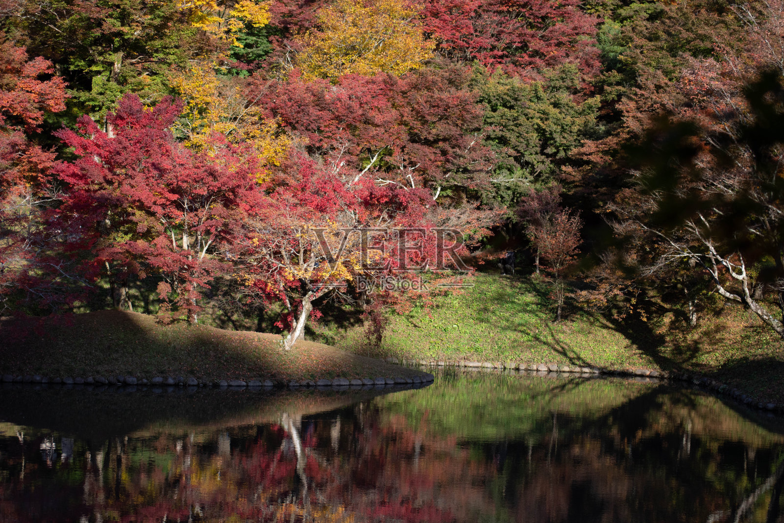 大分县的美景。照片摄影图片