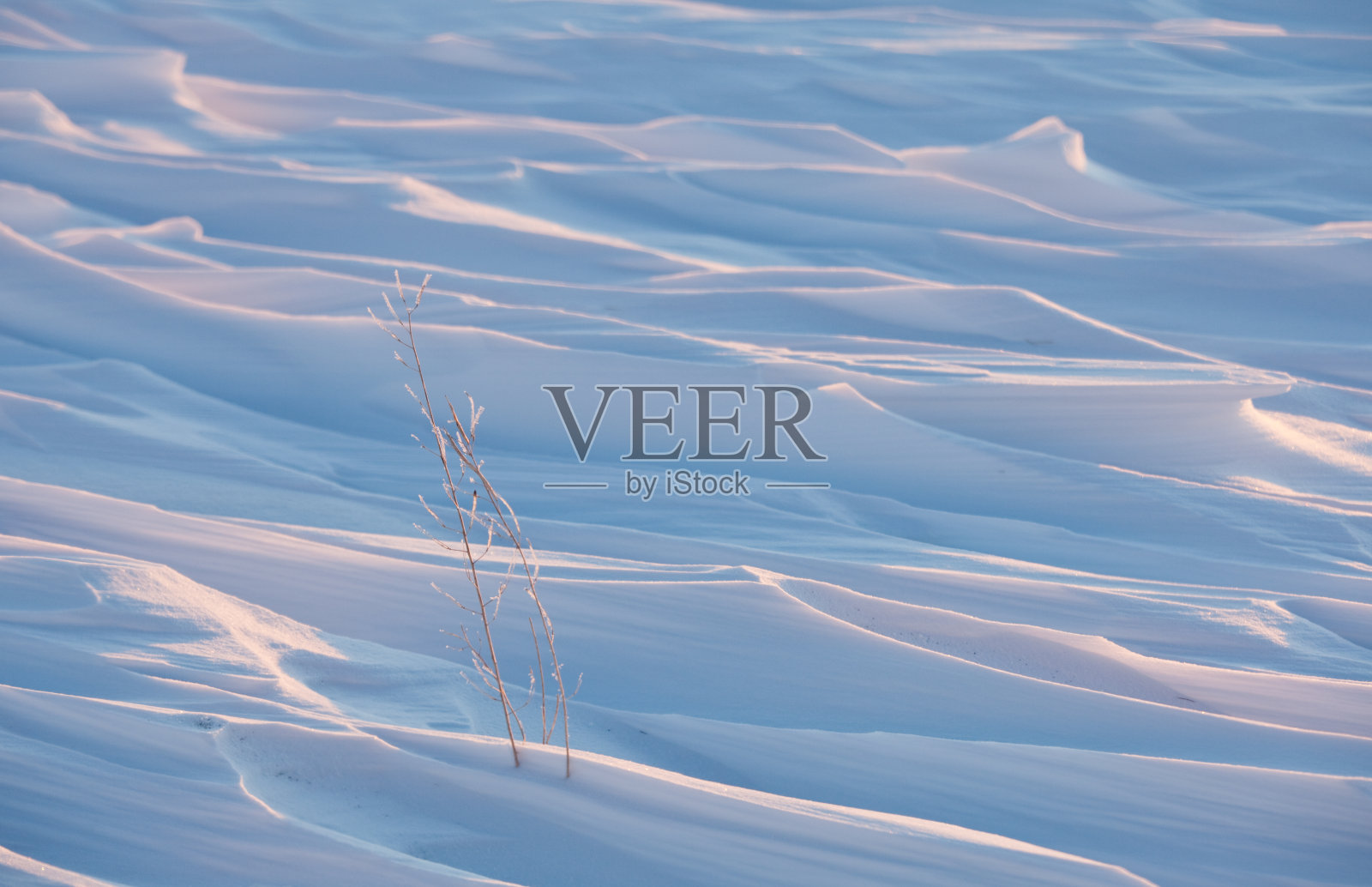 草原上的雪堆照片摄影图片