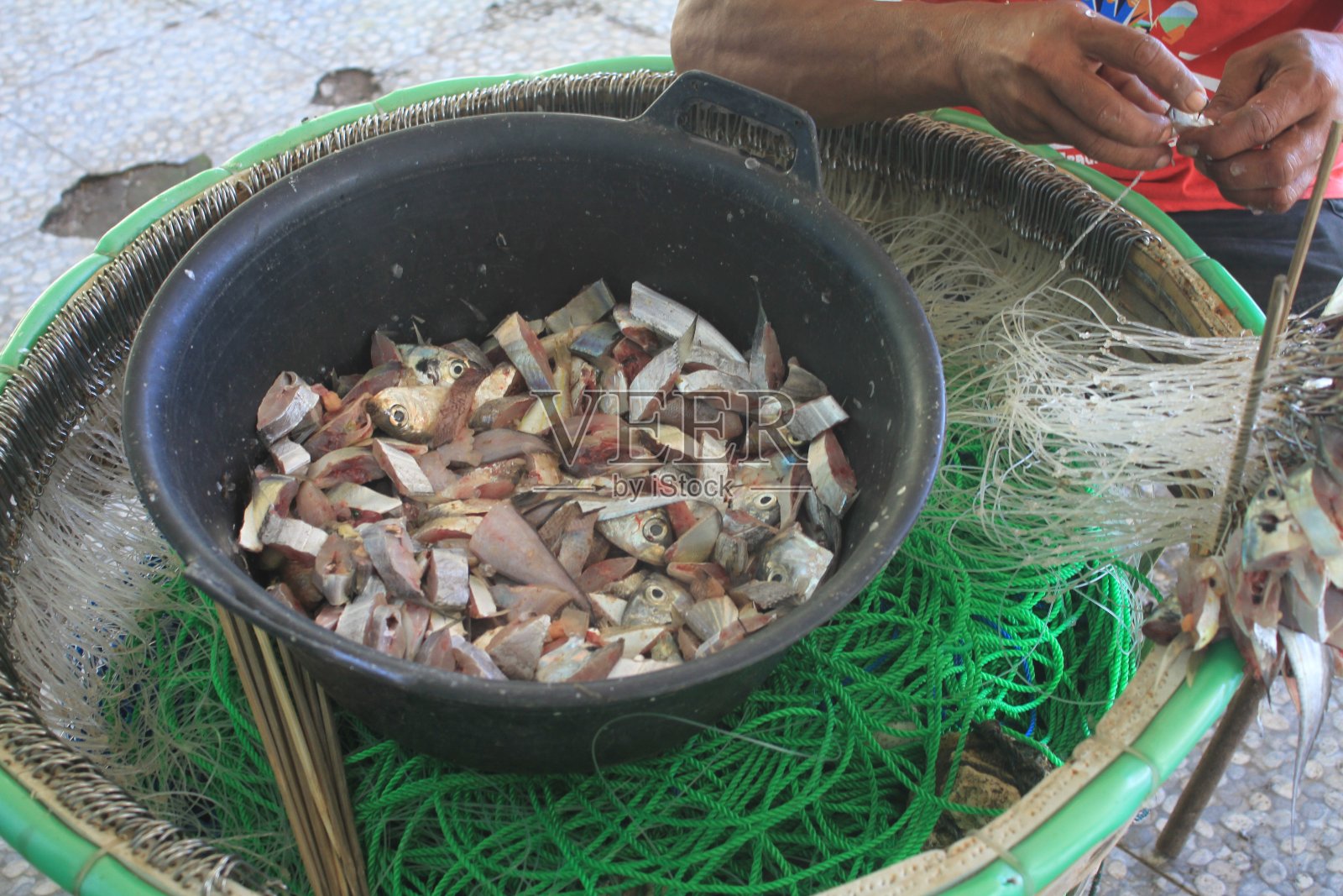 海钓鱼饵的准备照片摄影图片