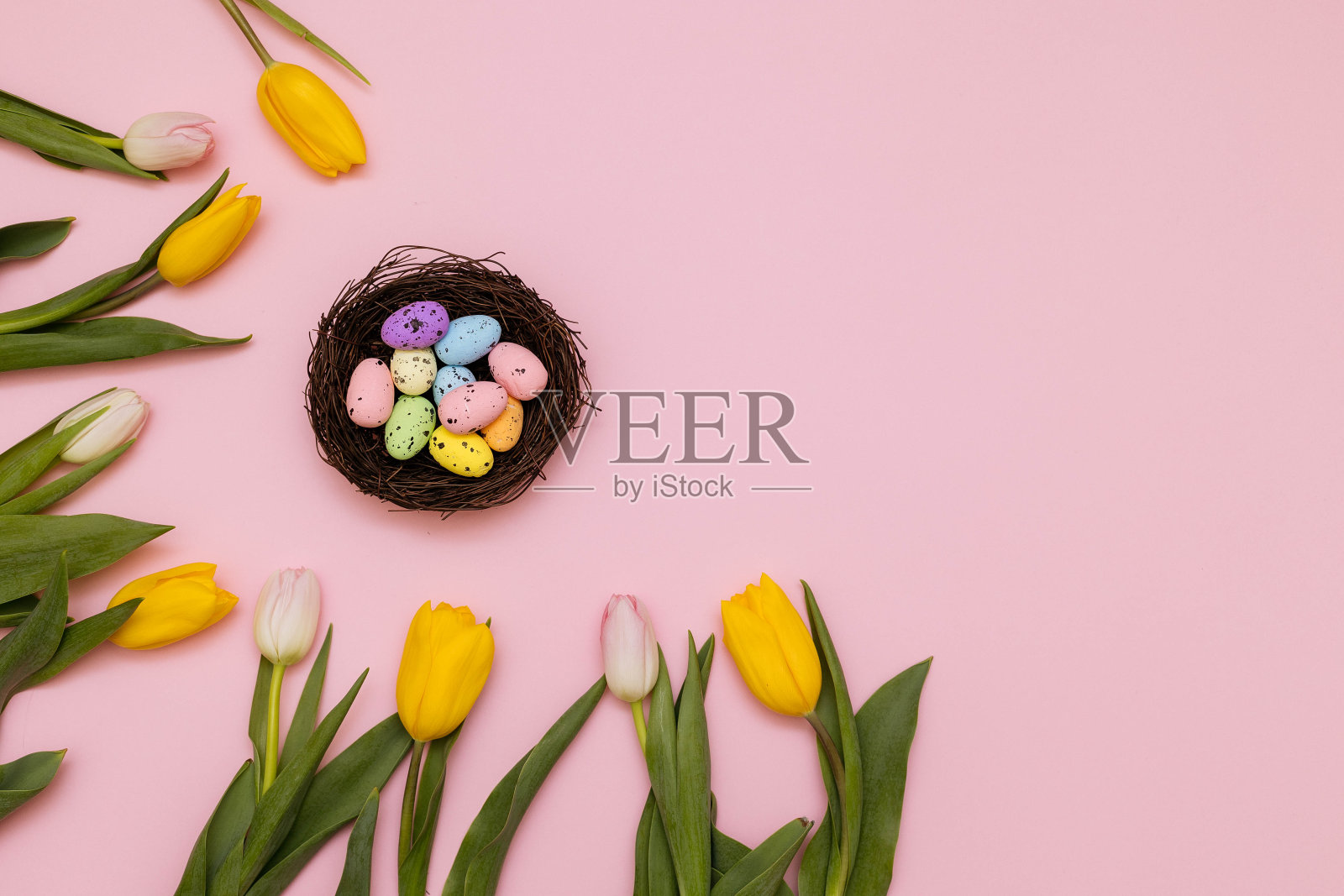 复活节卡片与鸡蛋在巢和郁金香，在粉红色的背景，复制空间照片摄影图片