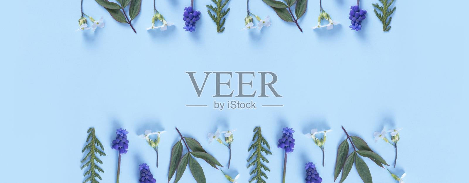 用花和树叶做成的横幅平铺在彩色背景上。春季横幅与复制空间照片摄影图片