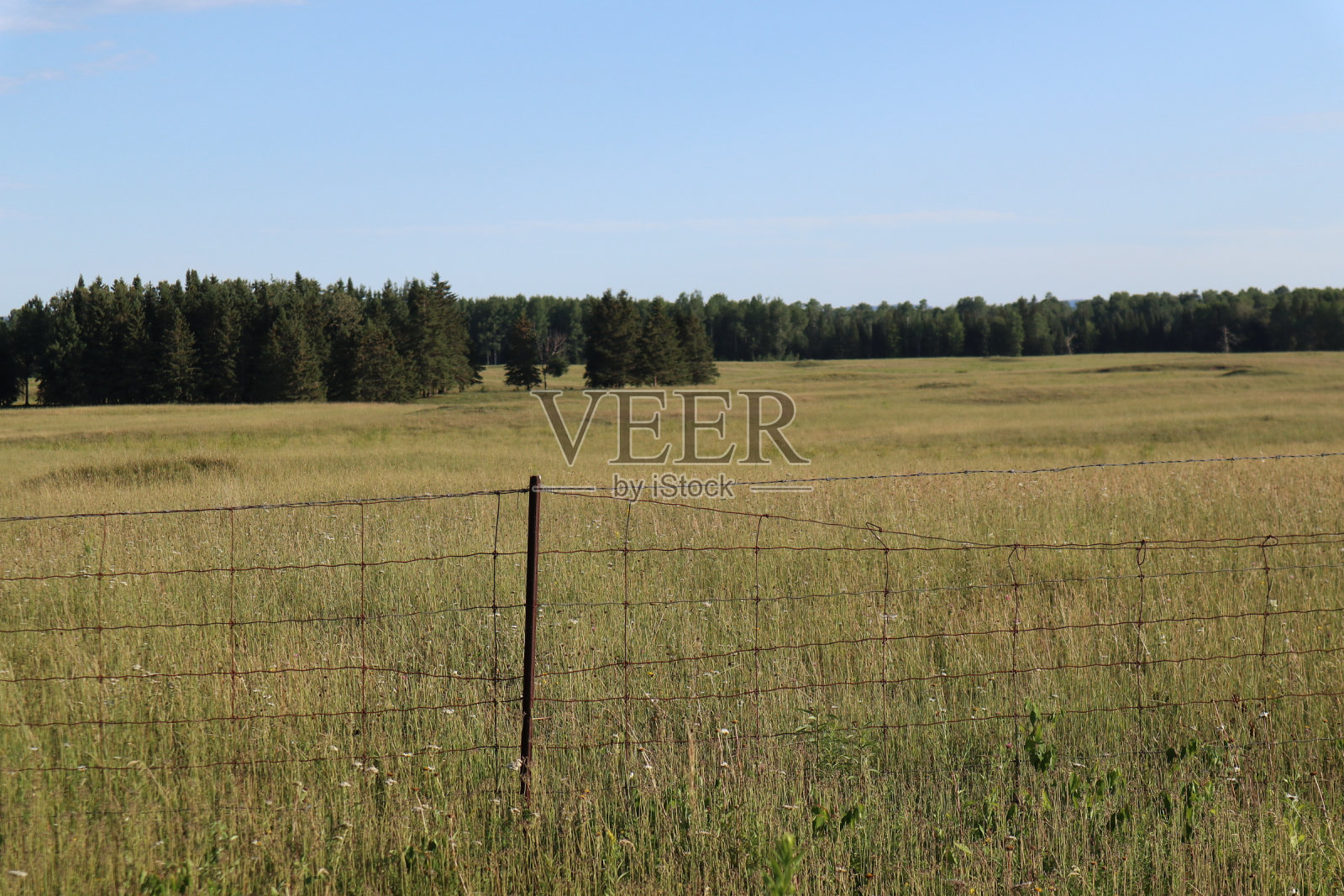 梦想之地照片摄影图片