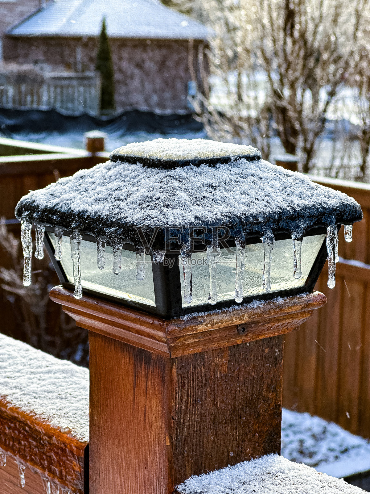 加拿大安大略省多伦多的冻雨风暴照片摄影图片