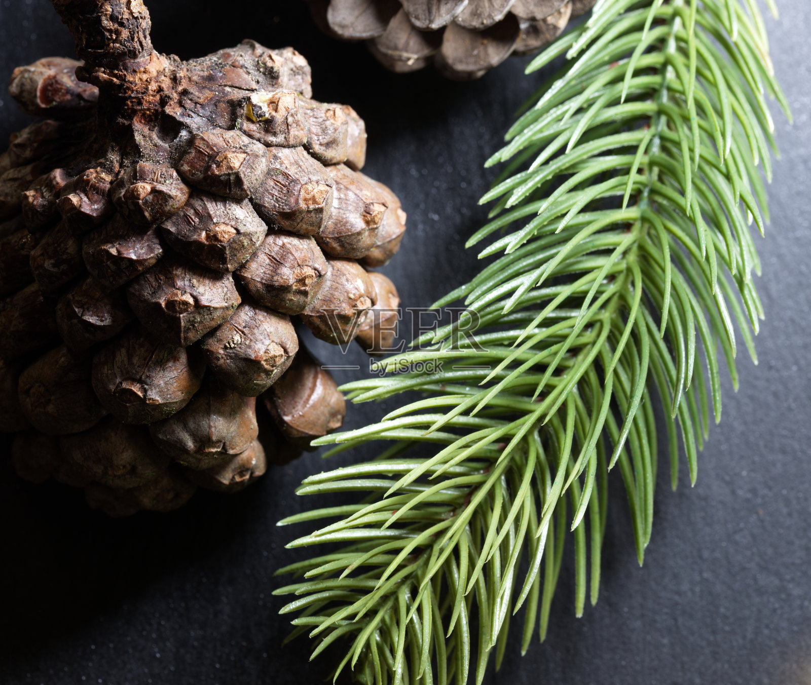 接近松果和冷杉针照片摄影图片