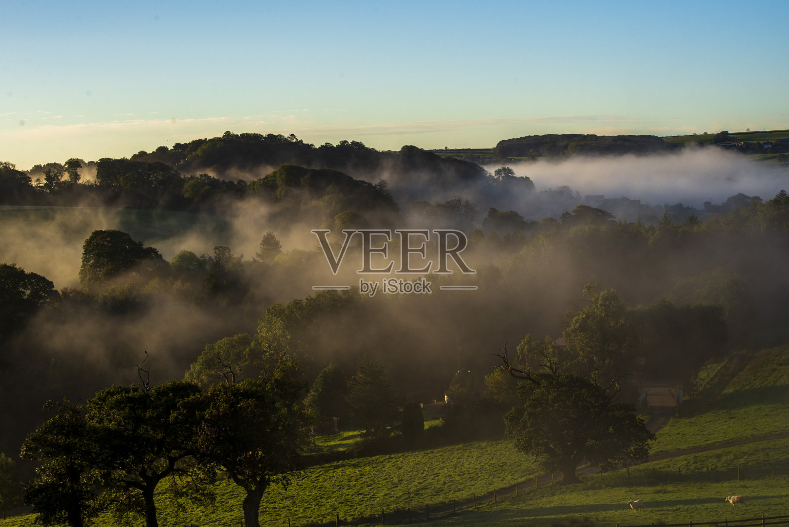 雾气蒙蒙的早晨，谷仓里的主食照片摄影图片