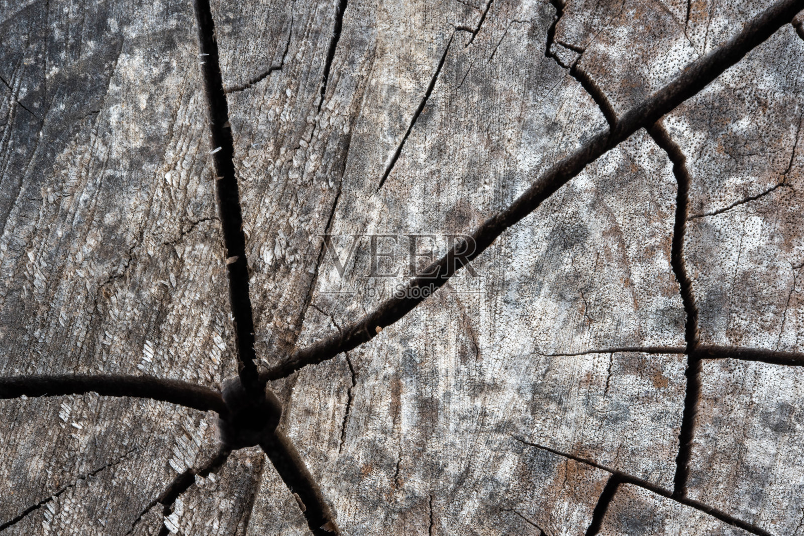 天然木材背景，风化灰色。照片摄影图片