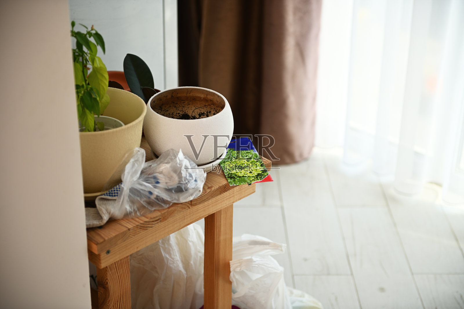 室内木凳上的空陶罐、发芽的幼苗和装沙拉种子的纸包特写照片摄影图片