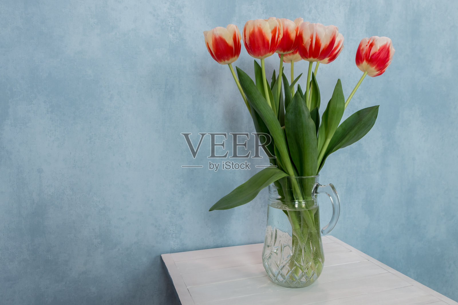 一束红白相间的郁金香放在白色桌子上蓝色背景的玻璃罐子里照片摄影图片