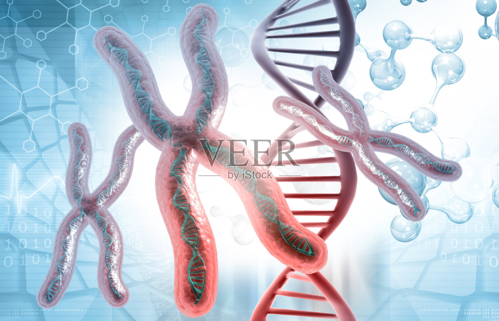 DNA，染色体的科学背景照片摄影图片
