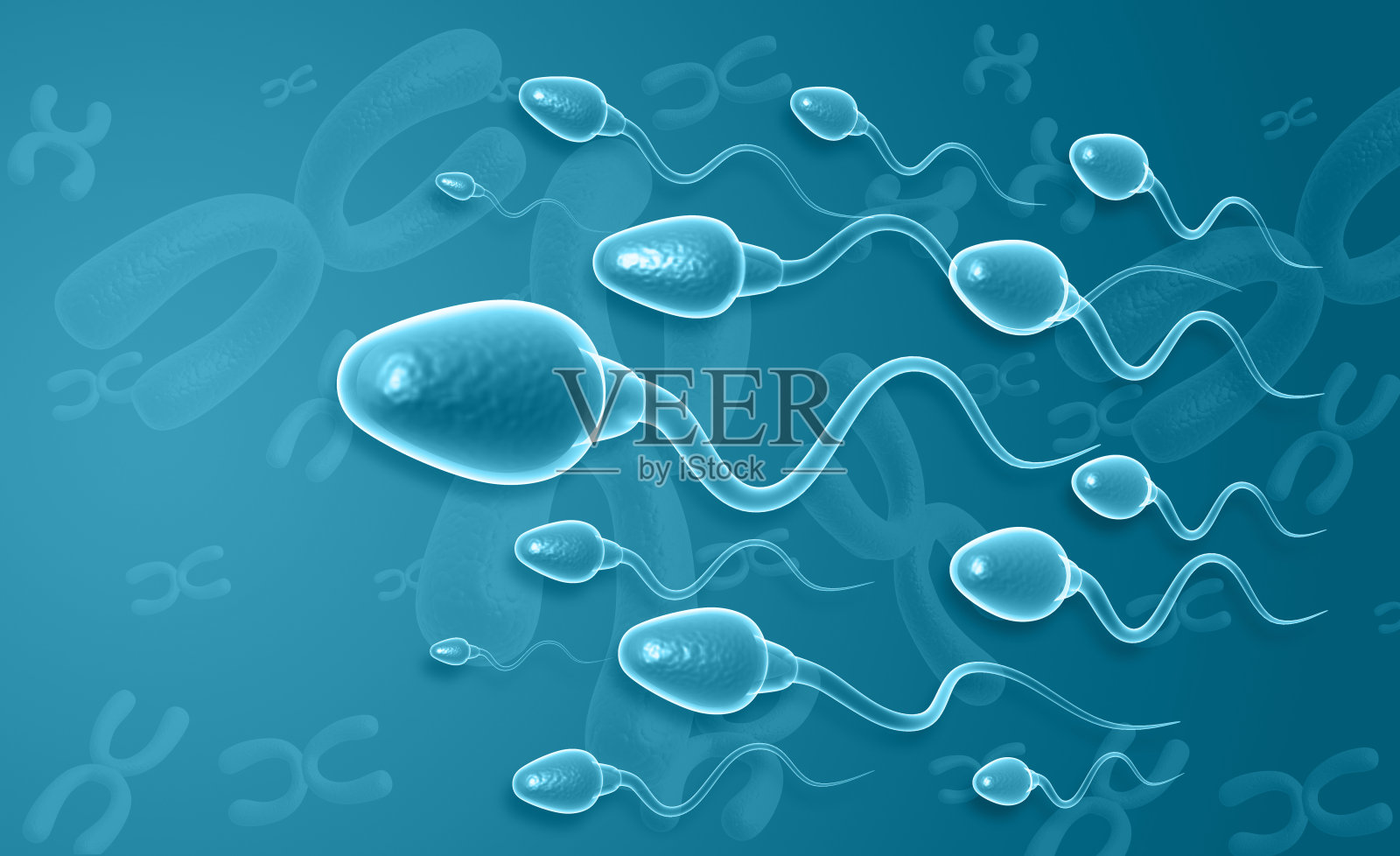 人类精子细胞照片摄影图片