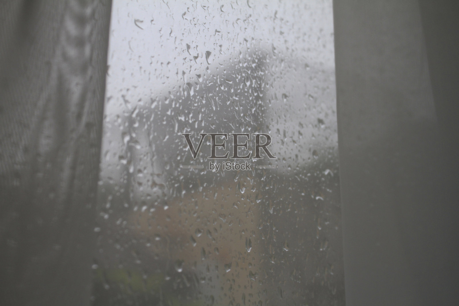 槟榔叶可见照片摄影图片