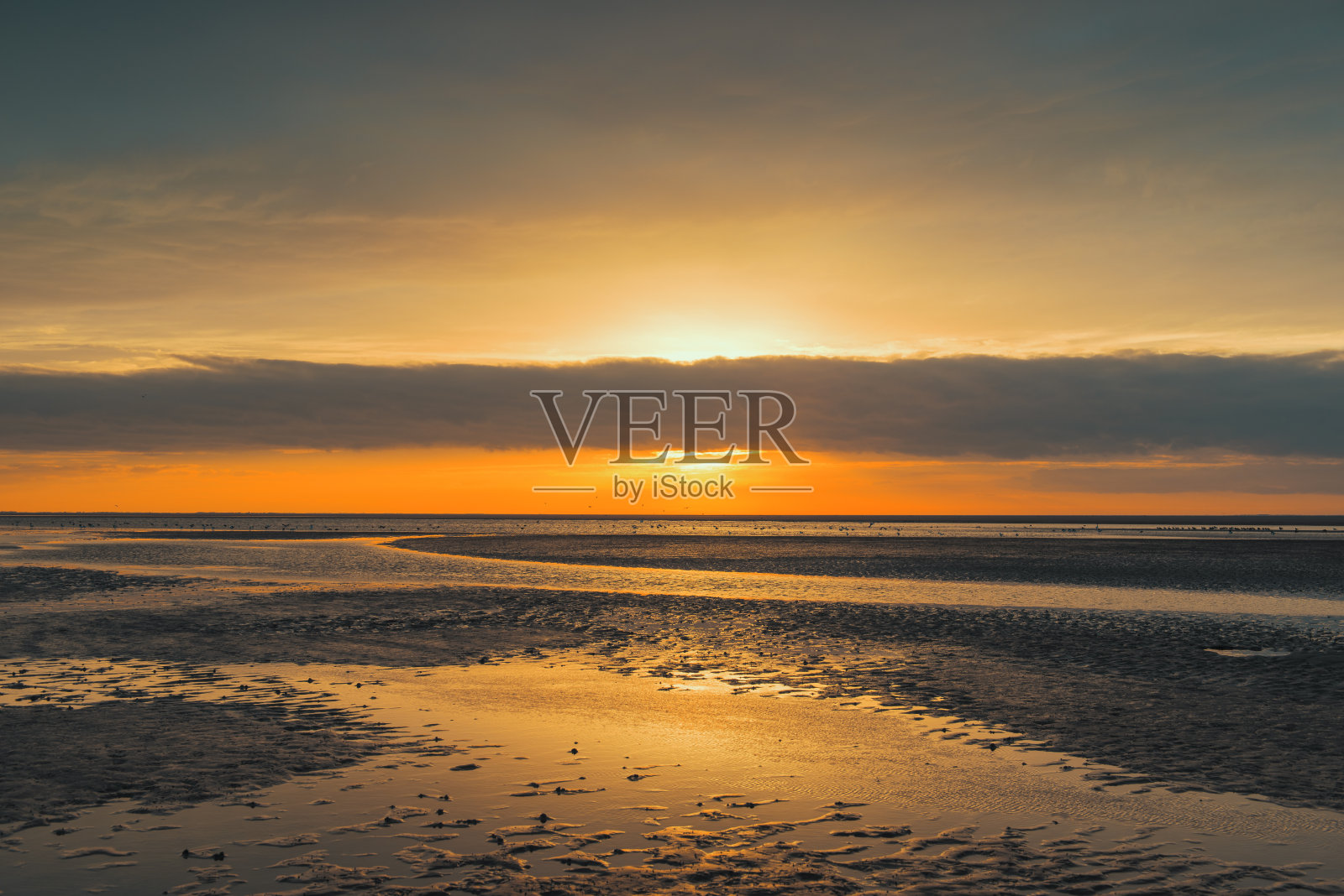 Schiermonnikoog海滩日落时分照片摄影图片