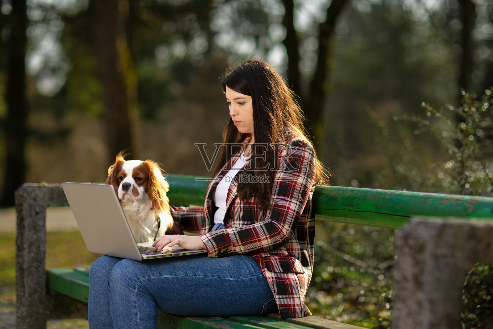 年轻女子在笔记本电脑和狗坐在长凳上工作。照片摄影图片