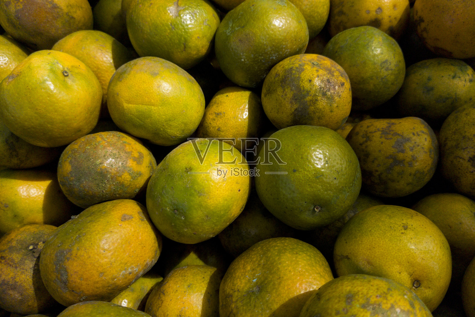 亚洲的橙子照片摄影图片