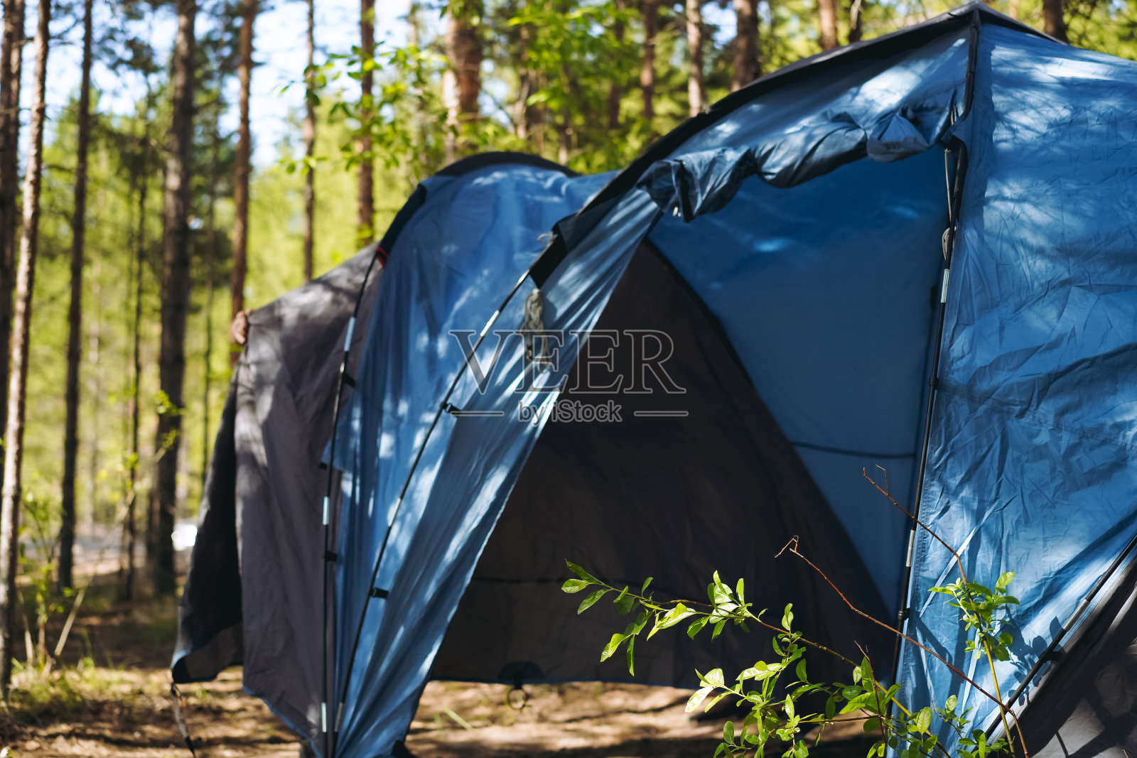 森林里的旅游帐篷。家庭露营概念照片摄影图片