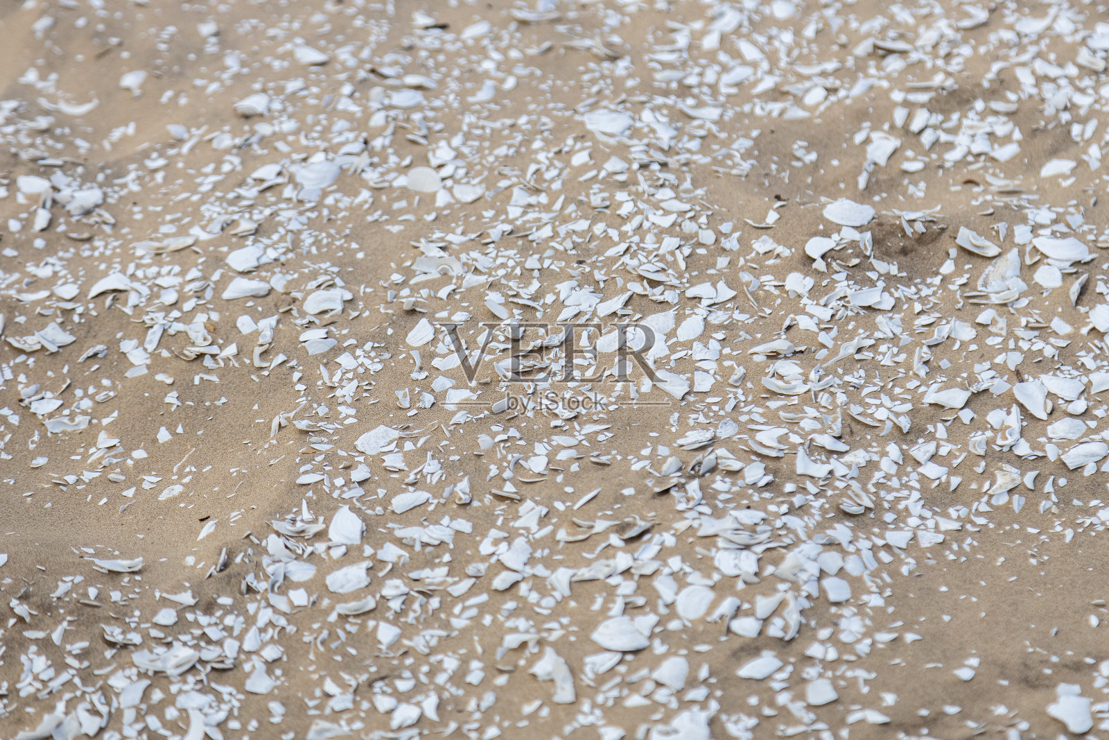 Sambaqui在Balneario Atlantico沙滩沙丘上，在Arroio do Sal，里约热内卢Grande do Sul，巴西照片摄影图片