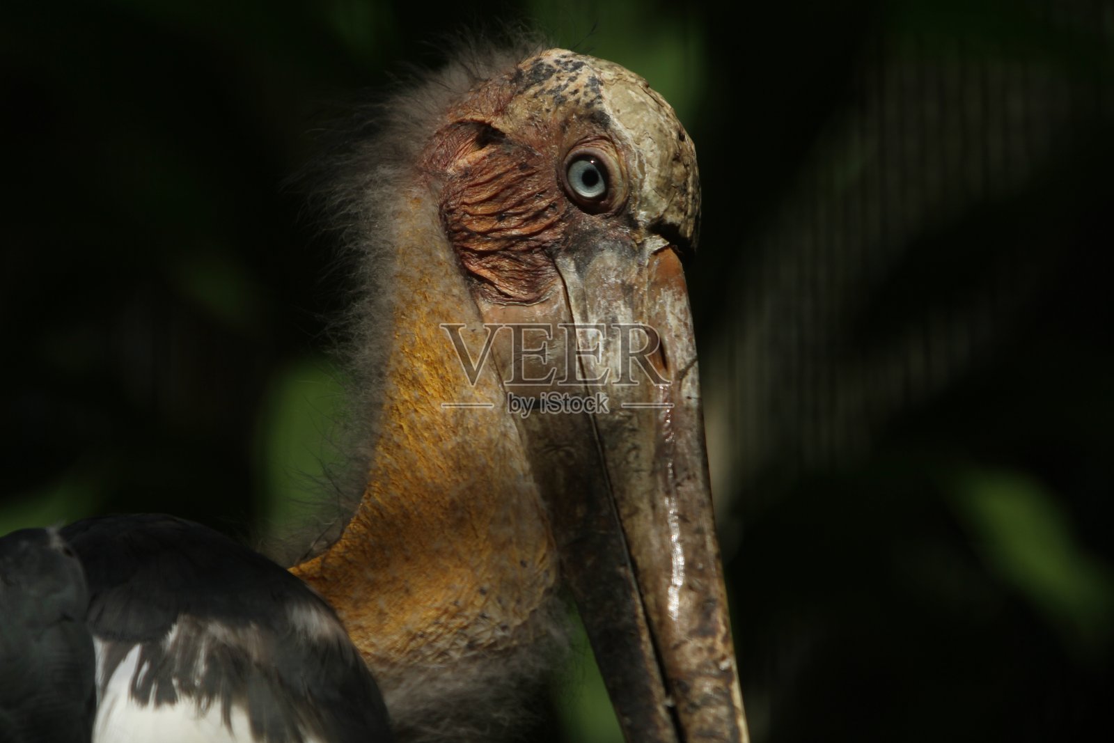 高级照片摄影图片