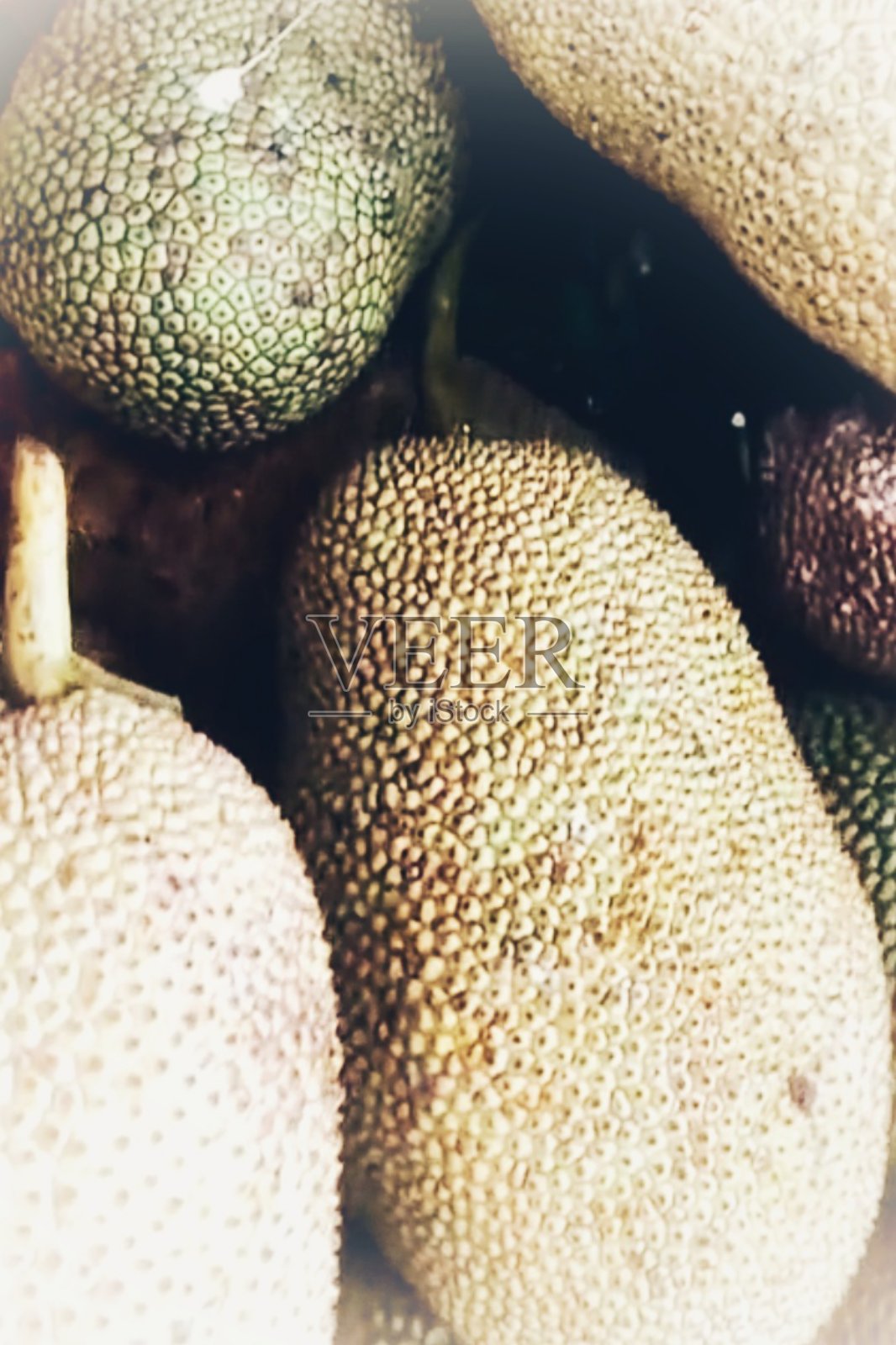 原产于印度尼西亚爪哇的一种水果照片摄影图片