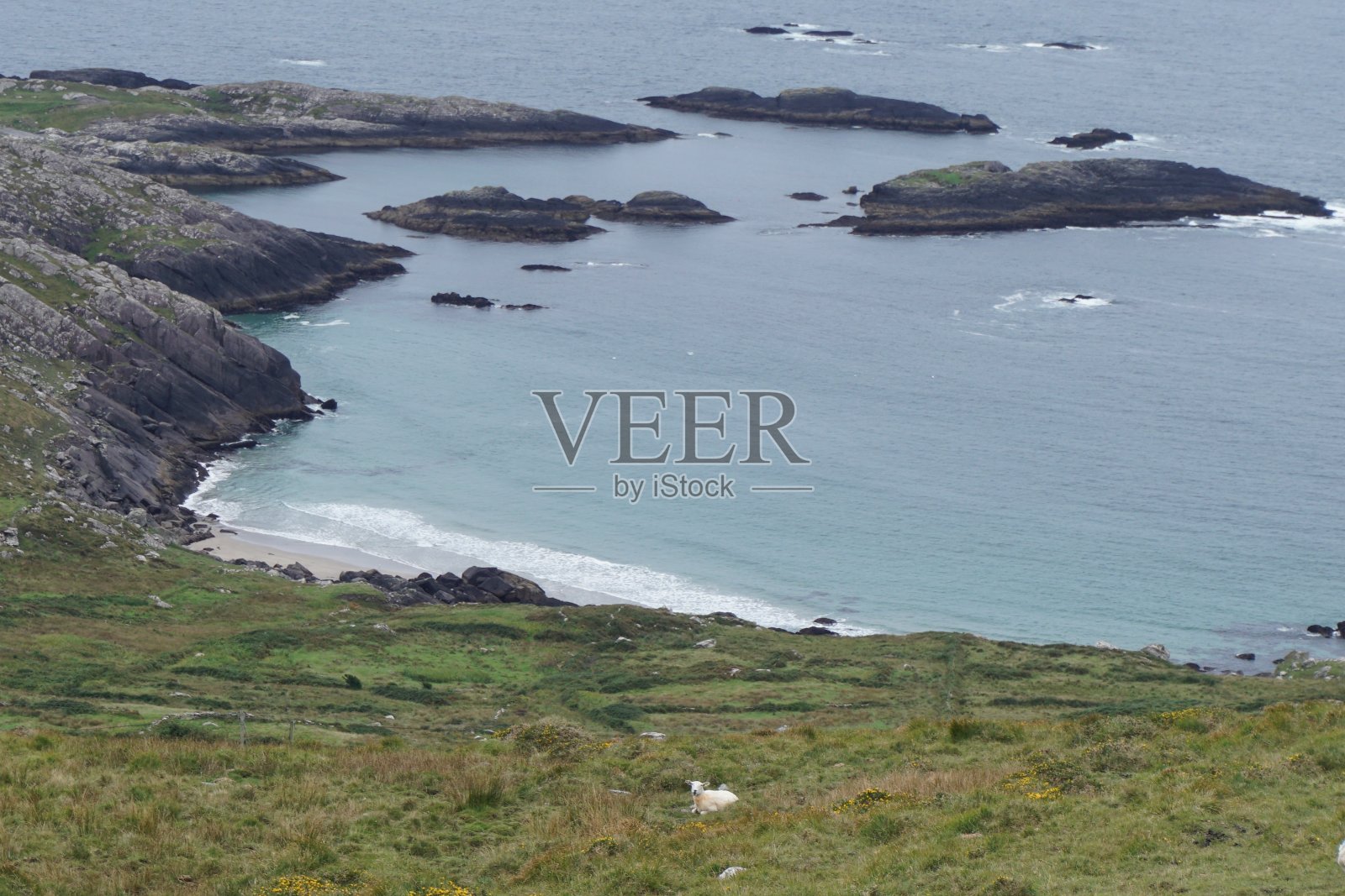 爱尔兰克里环上的场景照片摄影图片