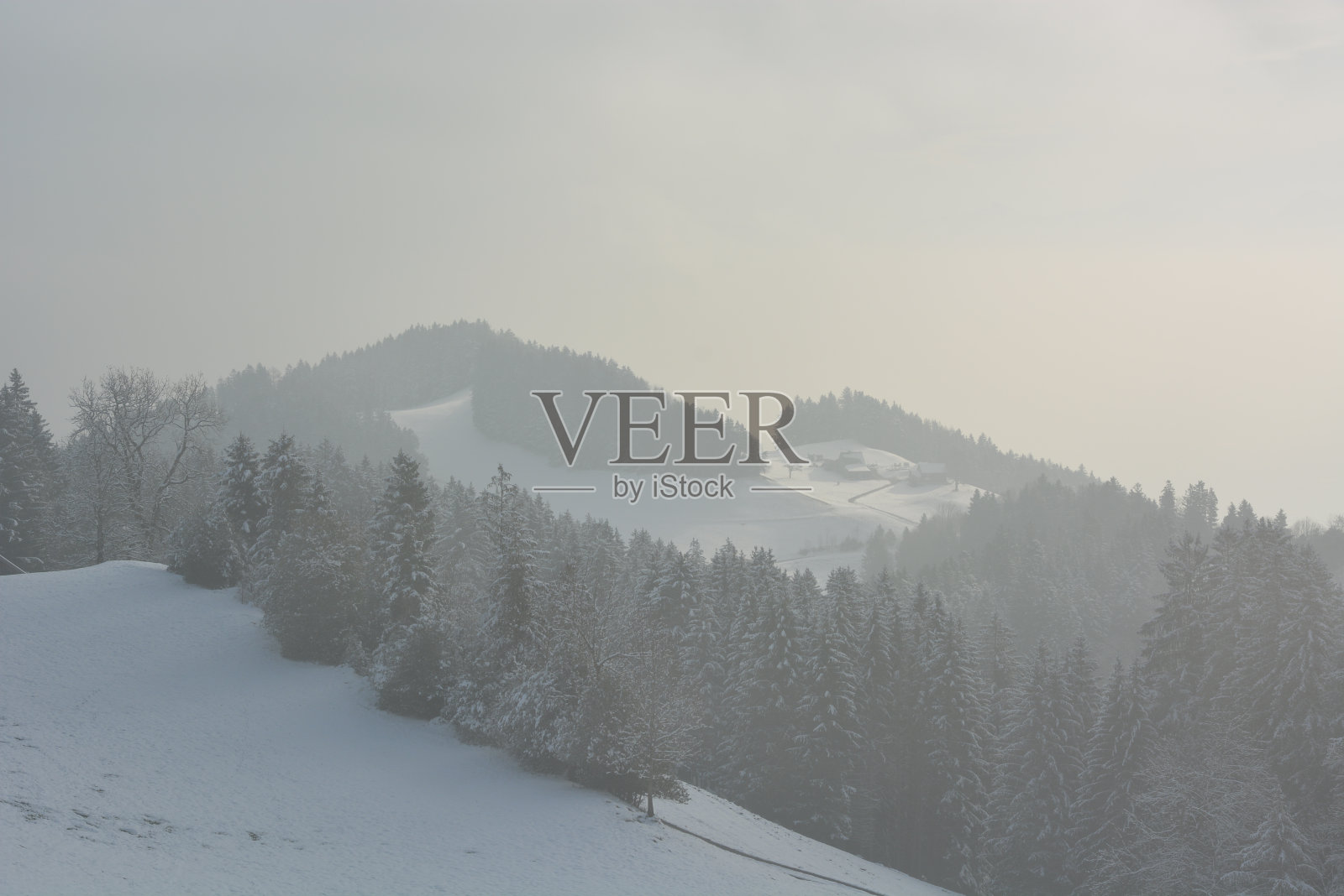 雪山，雾山，森林照片摄影图片