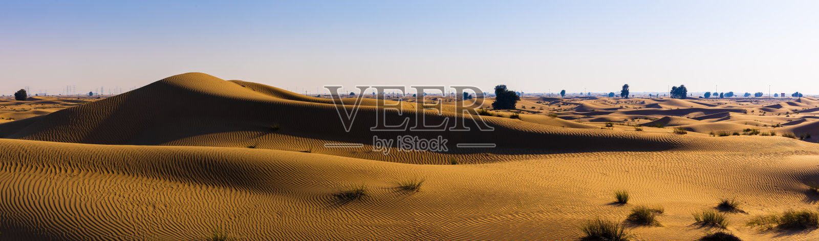 金色沙丘沙漠全景：迪拜Al Qudra沙漠的沙丘美景，阿联酋照片摄影图片