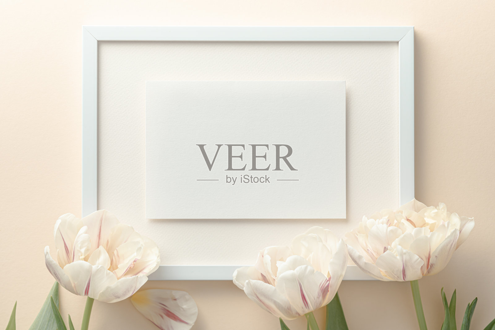 母亲节的形象与郁金香和贺卡照片摄影图片