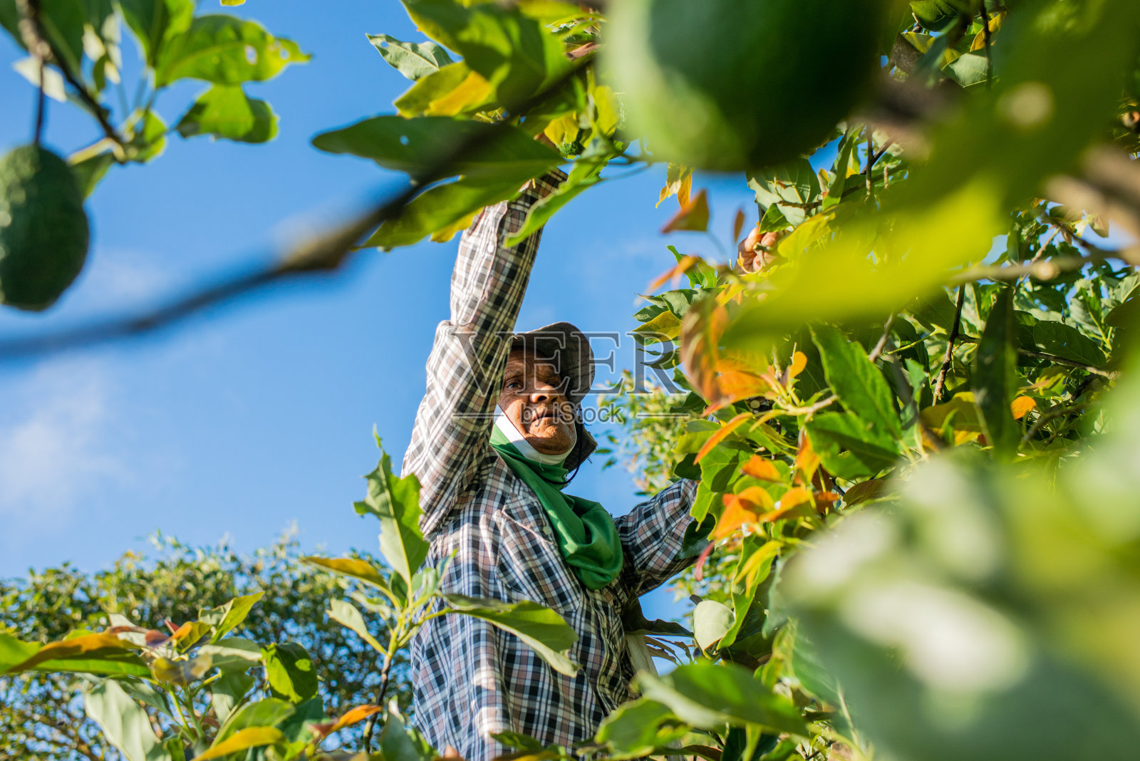 男人在地里干活照片摄影图片