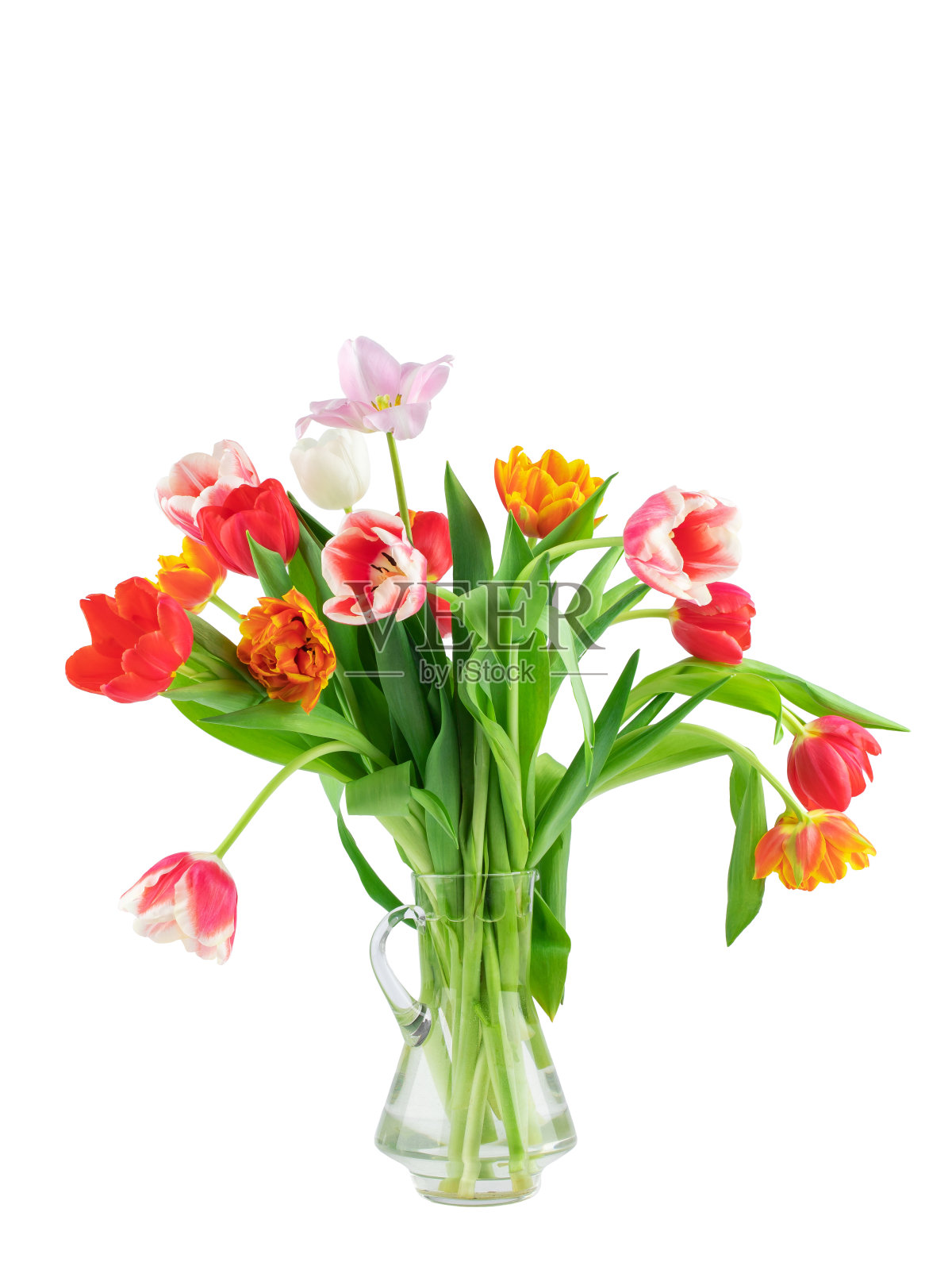 新鲜的花朵，刚剪下来的带叶子的黄色和粉色郁金香，孤立的照片摄影图片