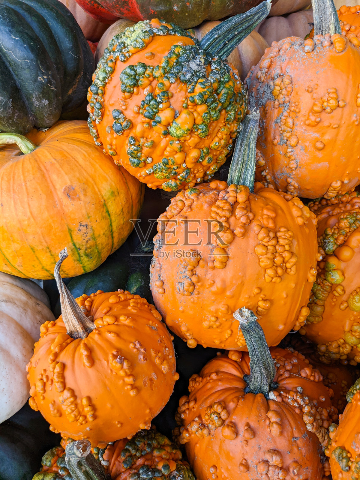 农贸市场上展示的傻瓜南瓜照片摄影图片