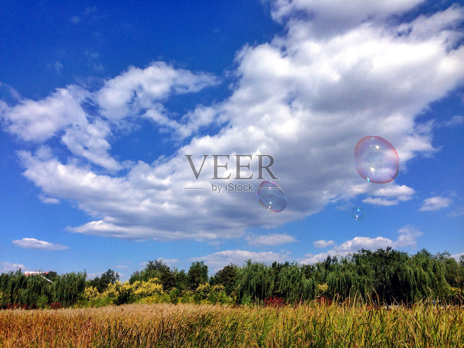 风把云吹成美丽的形状照片摄影图片