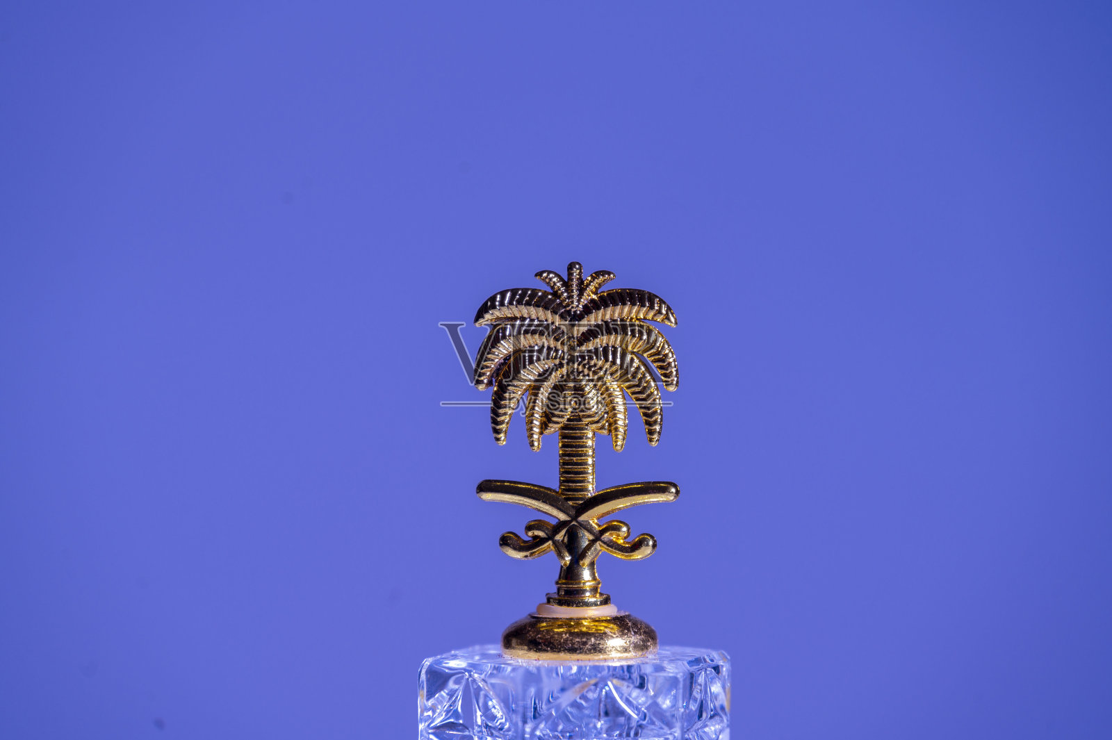 代表棕榈树和双剑的沙特阿拉伯标志照片摄影图片