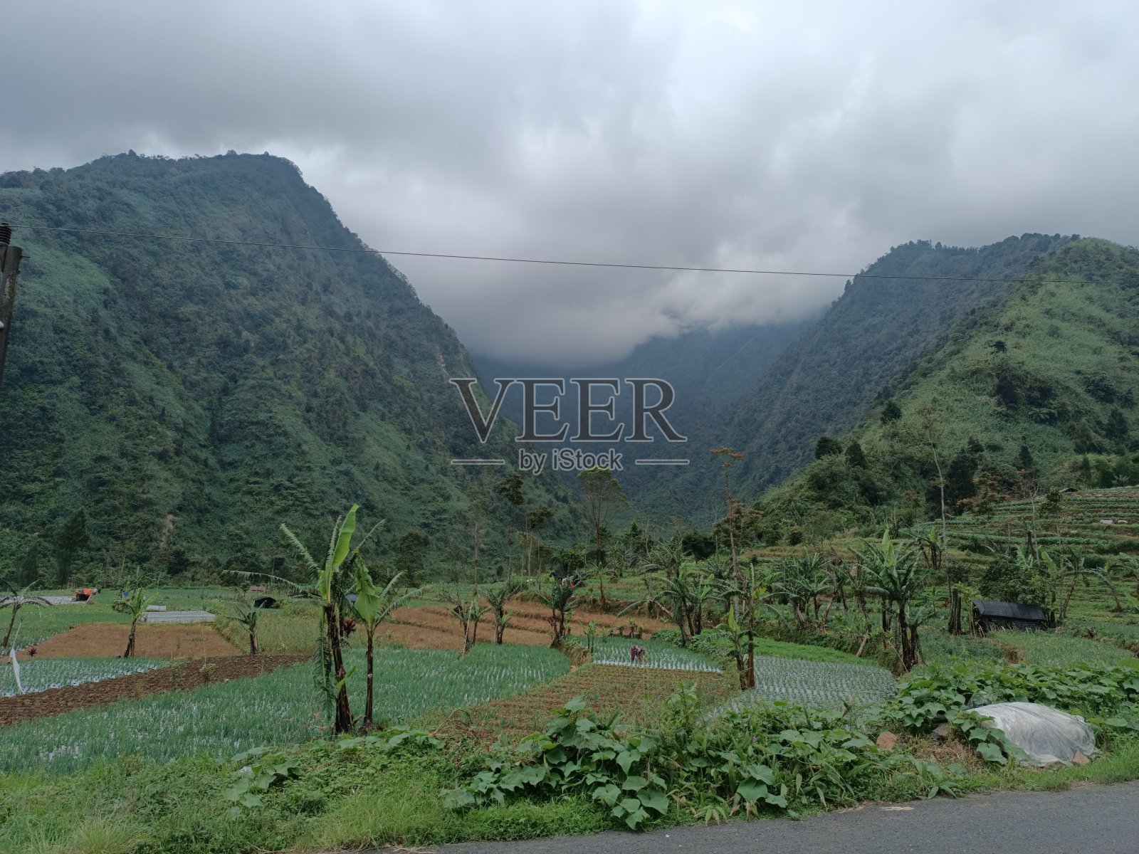 度假的女孩照片摄影图片