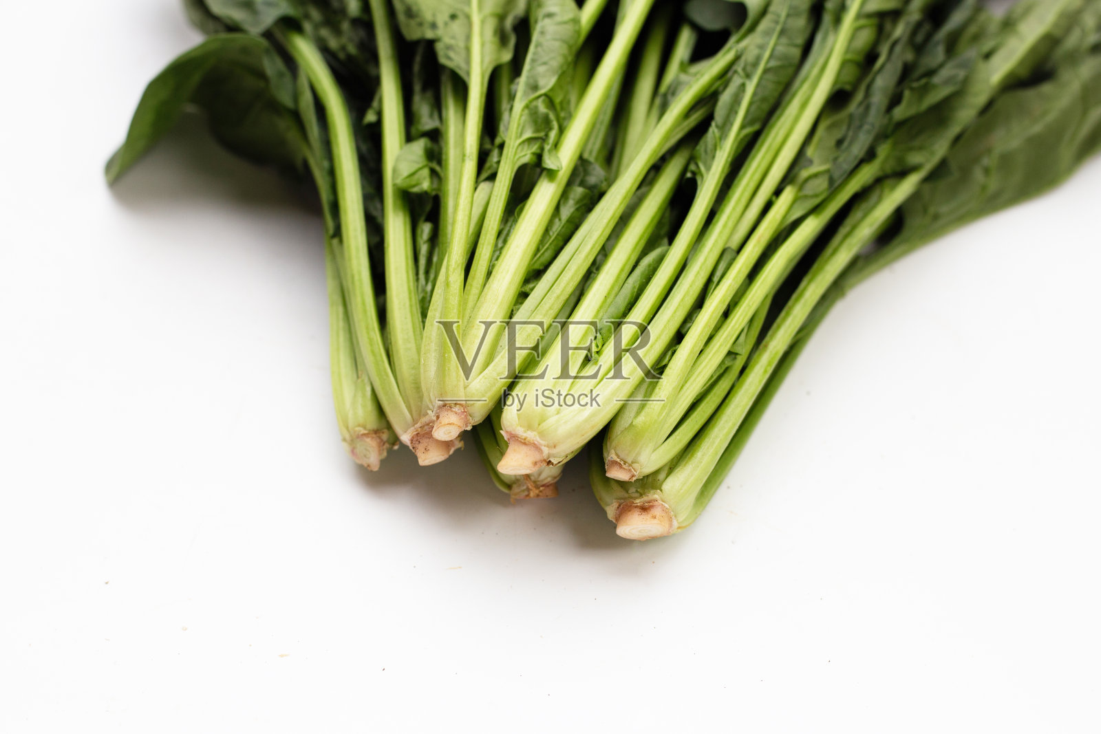 白底新鲜菠菜照片摄影图片