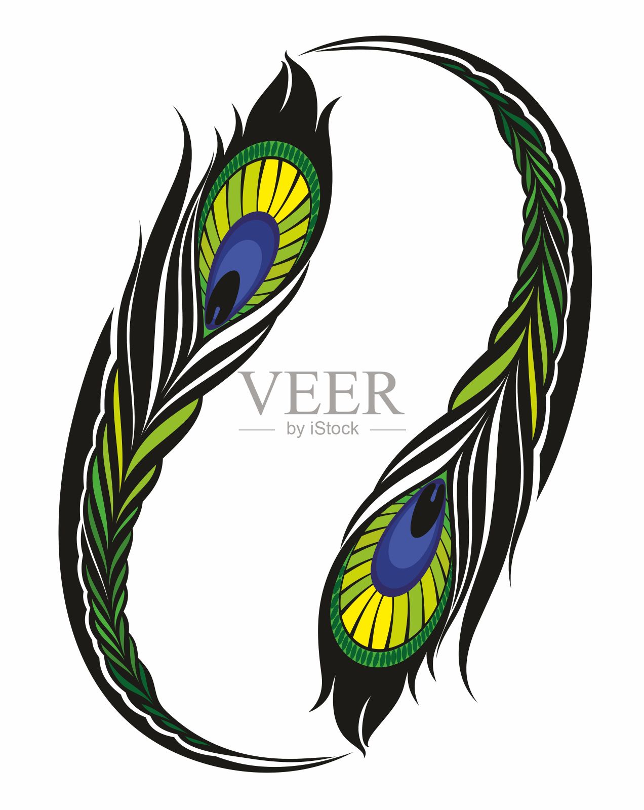 孔雀羽毛孤立矢量图标，逼真的鸟羽。孔雀的尾巴。图形元素用于设计，装饰细节插画图片素材