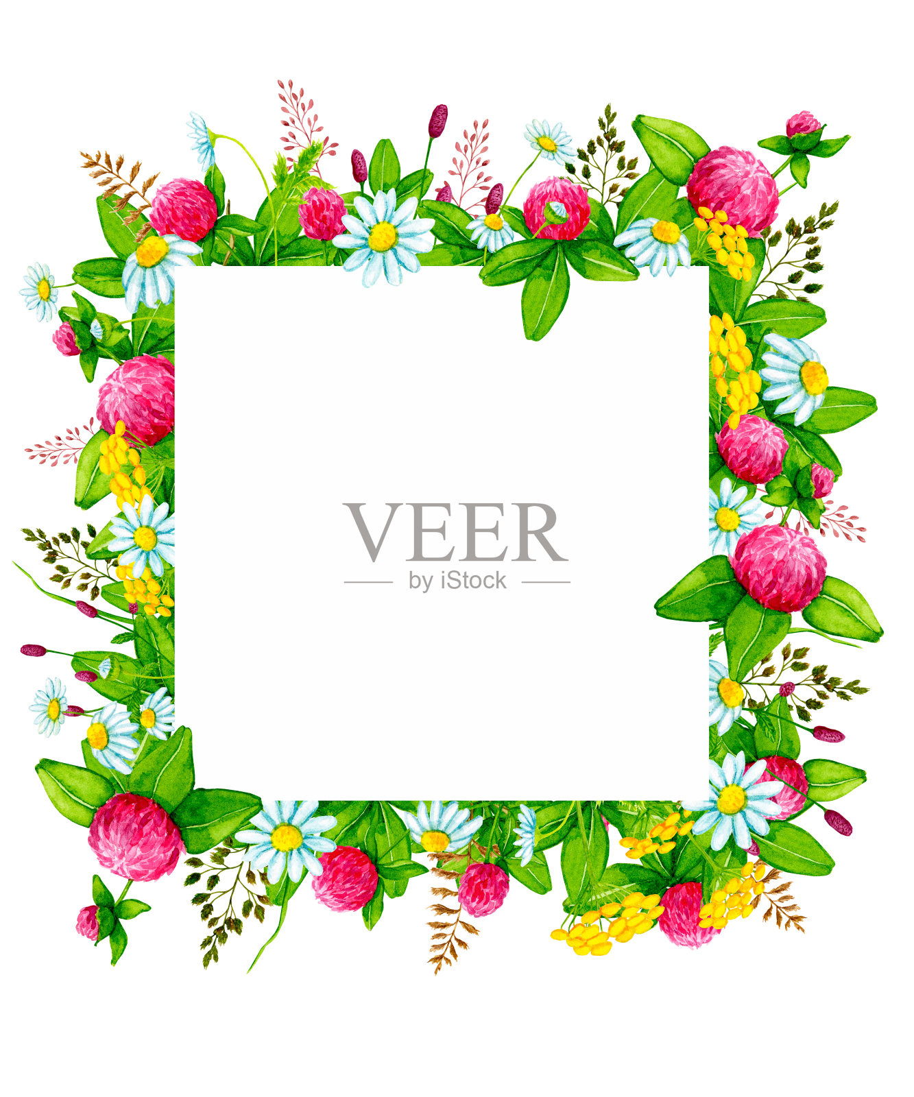 有野花和野生草药的方形框架。设计元素卡片，邀请，海报，织物印花，图案，文具，标签。设计元素图片