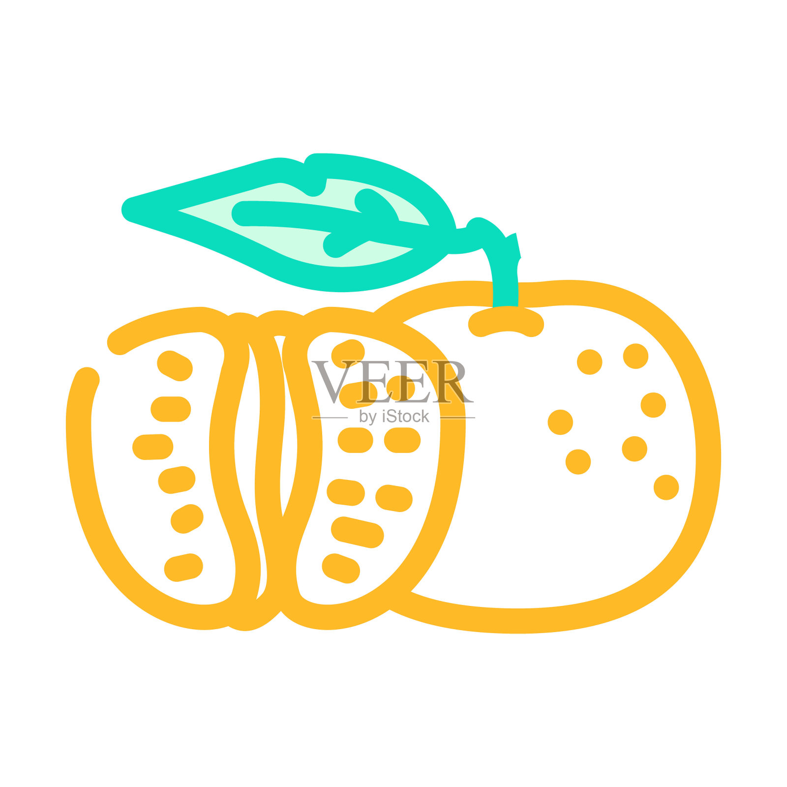 切橘子叶颜色图标矢量插图插画图片素材