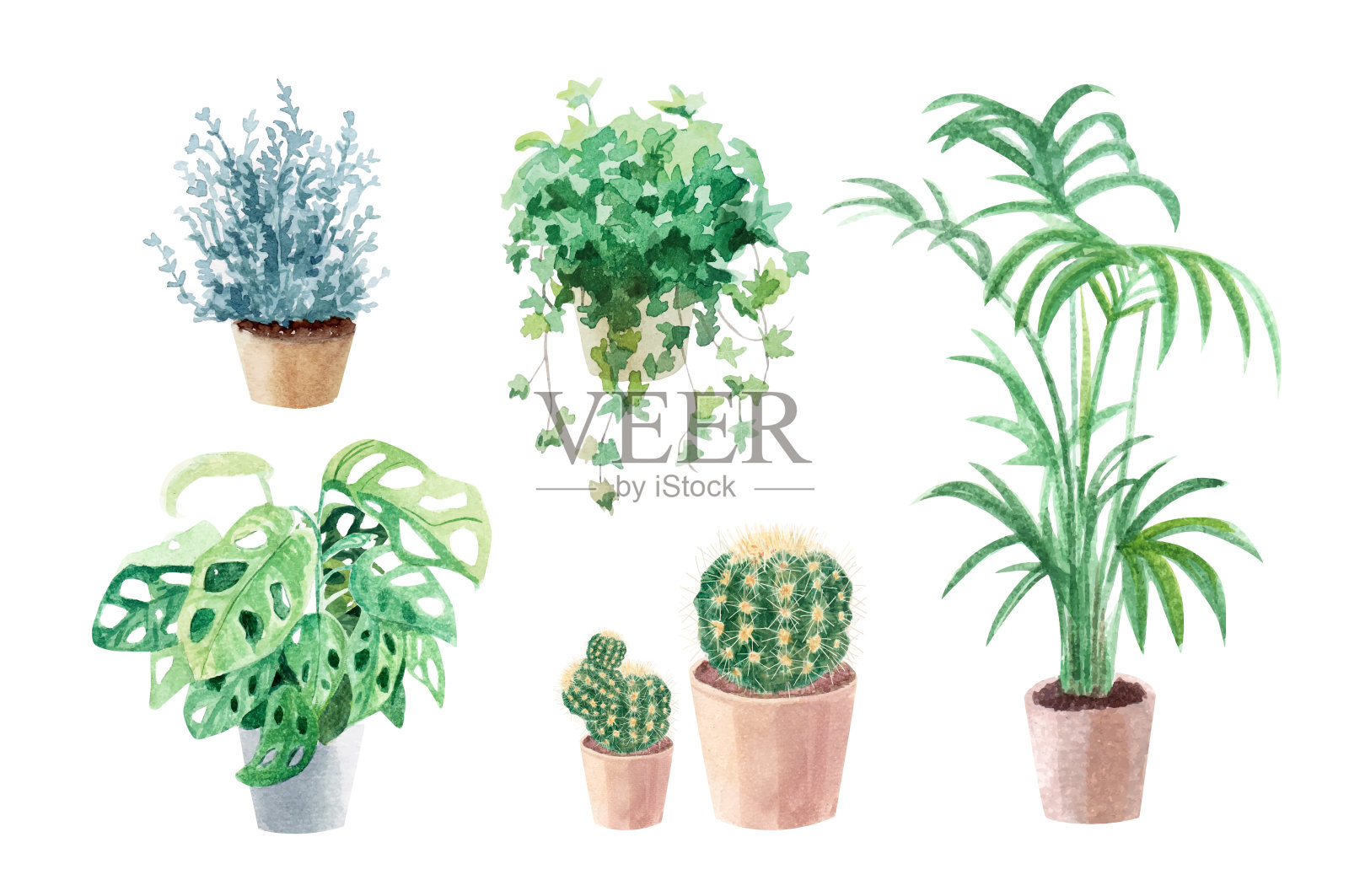 水彩盆栽植物收藏。花盆和室内植物。手绘艺术。套屋室内植物。仙人掌，棕榈树，怪物设计元素图片
